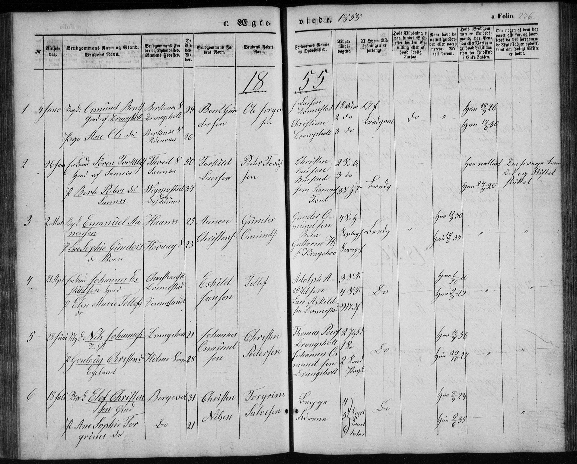 Tveit sokneprestkontor, SAK/1111-0043/F/Fb/L0003: Parish register (copy) no. B 3, 1854-1886, p. 236