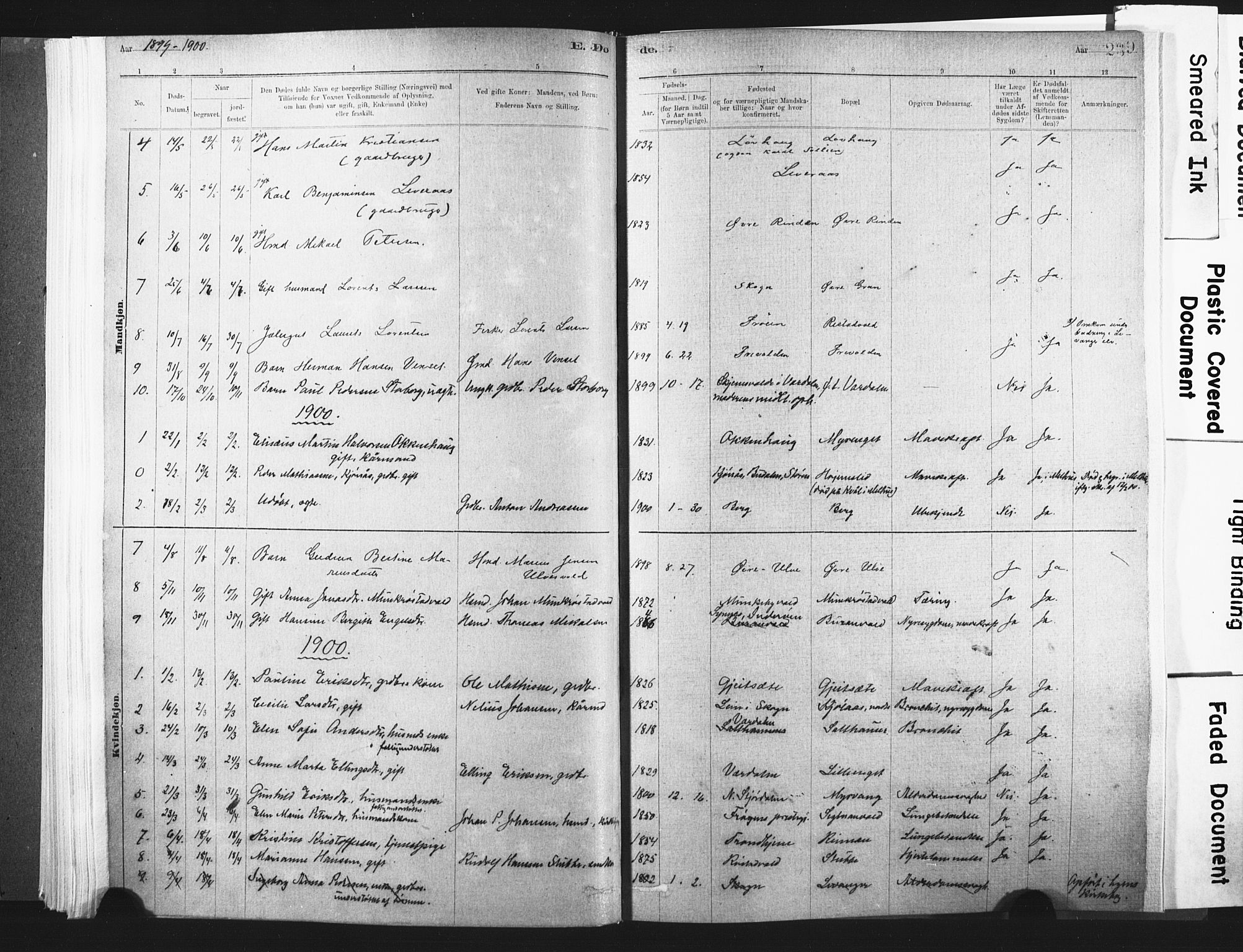 Ministerialprotokoller, klokkerbøker og fødselsregistre - Nord-Trøndelag, AV/SAT-A-1458/721/L0207: Parish register (official) no. 721A02, 1880-1911, p. 239