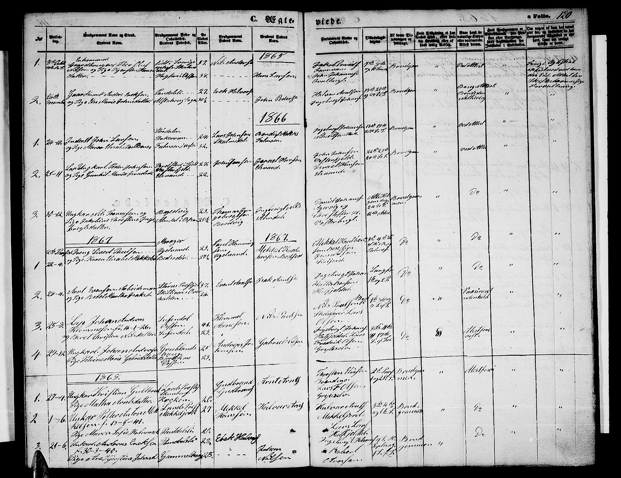 Ministerialprotokoller, klokkerbøker og fødselsregistre - Nordland, AV/SAT-A-1459/823/L0329: Parish register (copy) no. 823C01, 1865-1878, p. 120