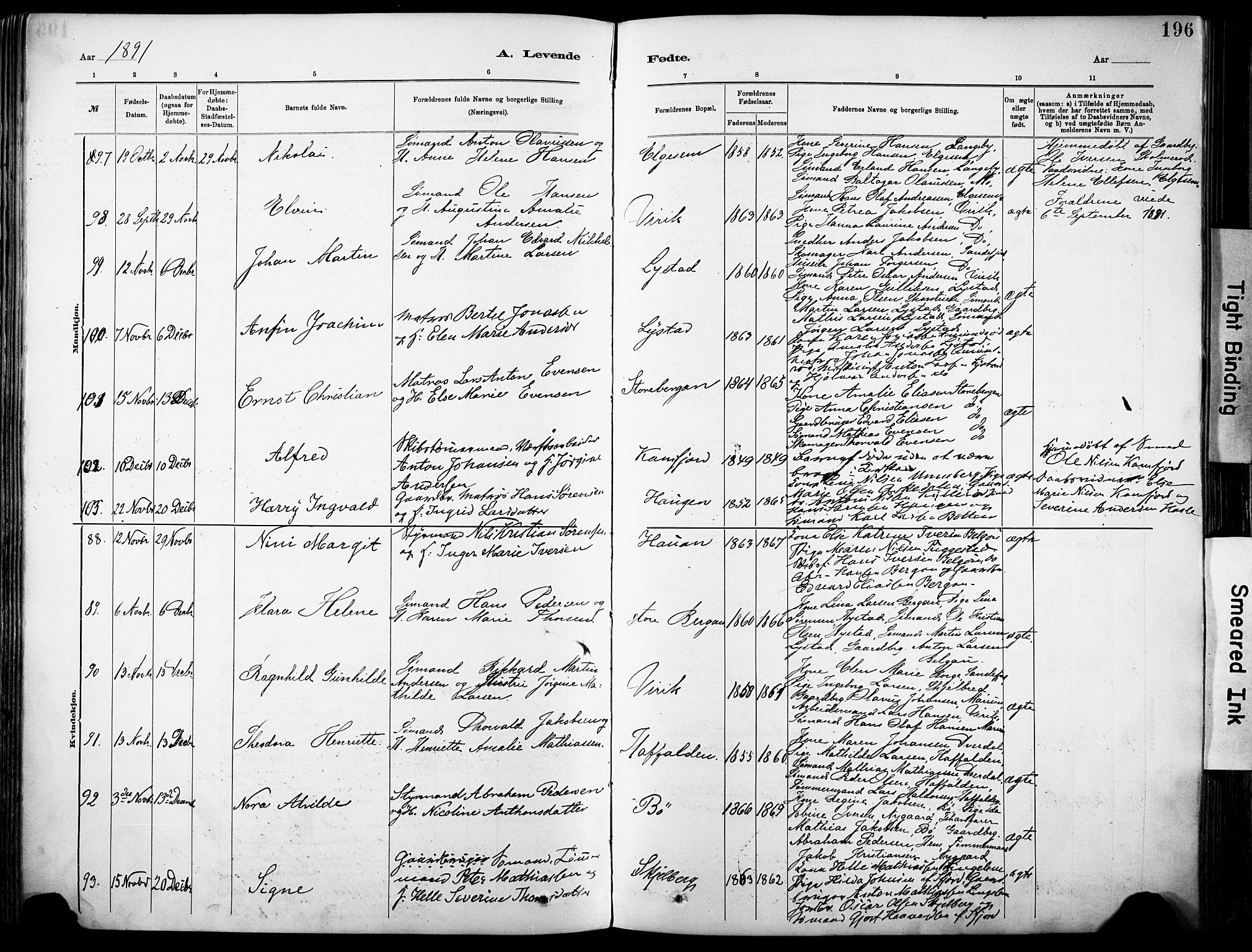 Sandar kirkebøker, AV/SAKO-A-243/F/Fa/L0012: Parish register (official) no. 12, 1883-1895, p. 196