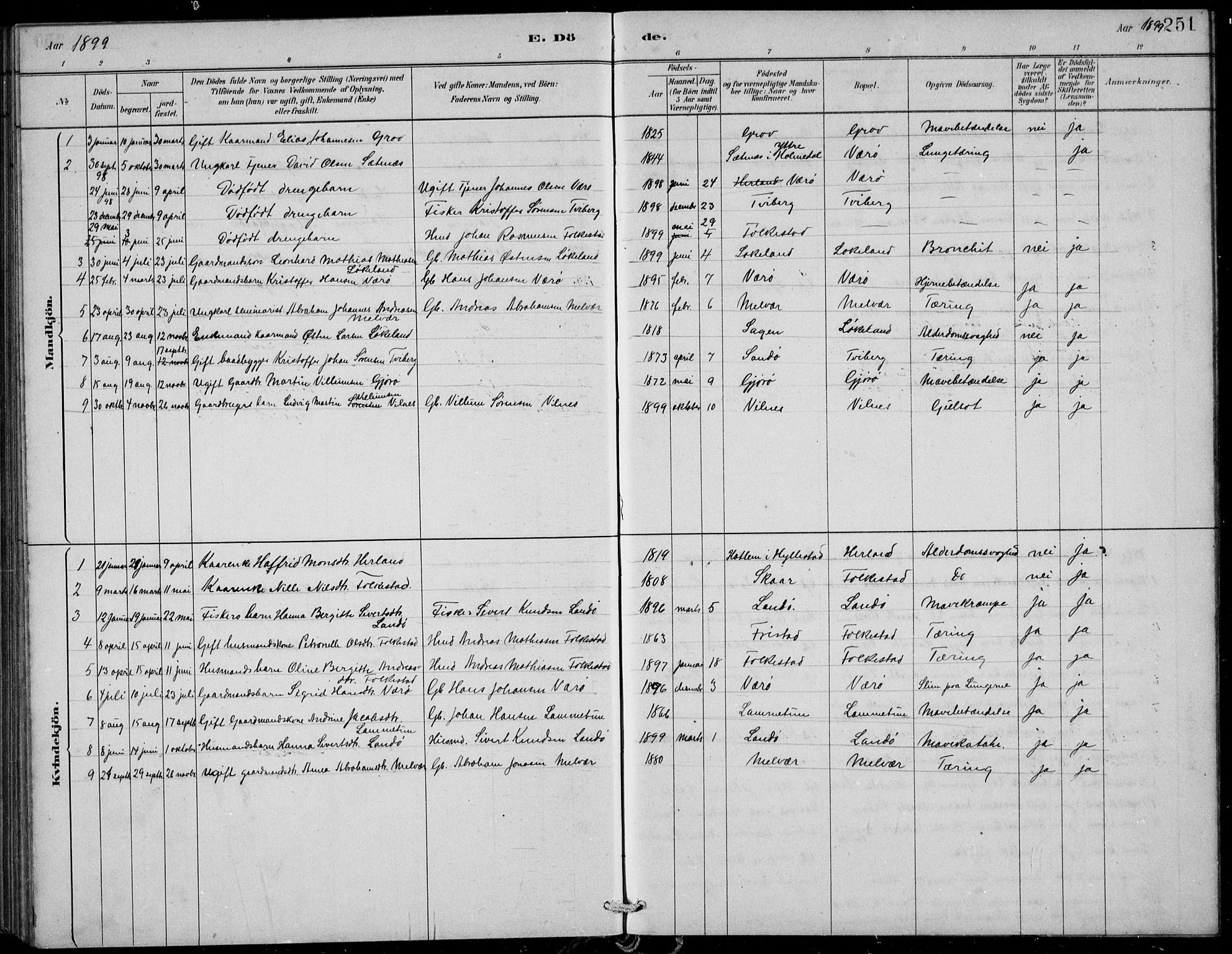 Askvoll sokneprestembete, SAB/A-79501/H/Hab/Habb/L0001: Parish register (copy) no. B 1, 1879-1909, p. 251
