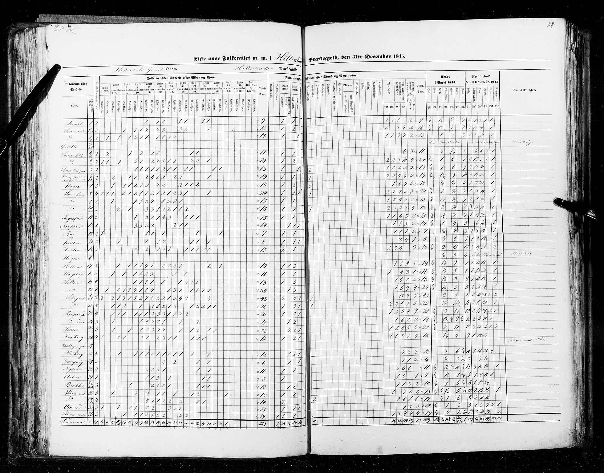 RA, Census 1845, vol. 5: Bratsberg amt og Nedenes og Råbyggelaget amt, 1845, p. 118