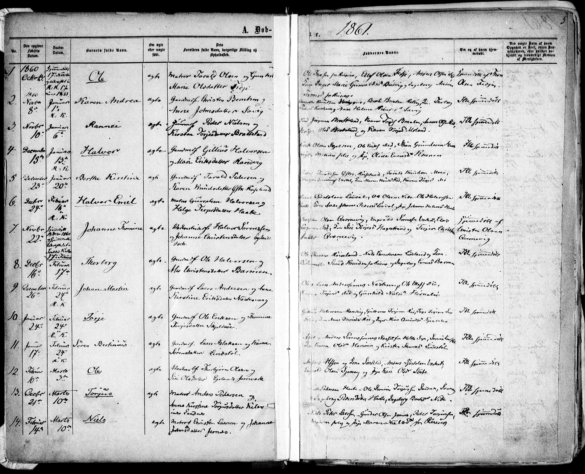 Søndeled sokneprestkontor, SAK/1111-0038/F/Fa/L0003: Parish register (official) no. A 3, 1861-1879, p. 5