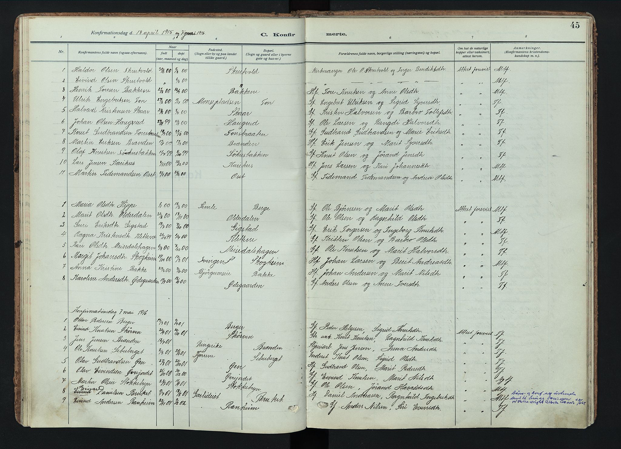 Nord-Aurdal prestekontor, AV/SAH-PREST-132/H/Ha/Haa/L0018: Parish register (official) no. 18, 1915-1935, p. 45