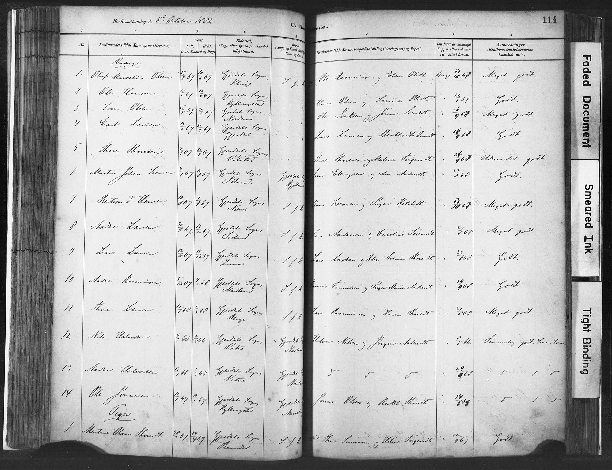 Lye sokneprestkontor, SAST/A-101794/001/30BA/L0010: Parish register (official) no. A 10, 1881-1896, p. 114