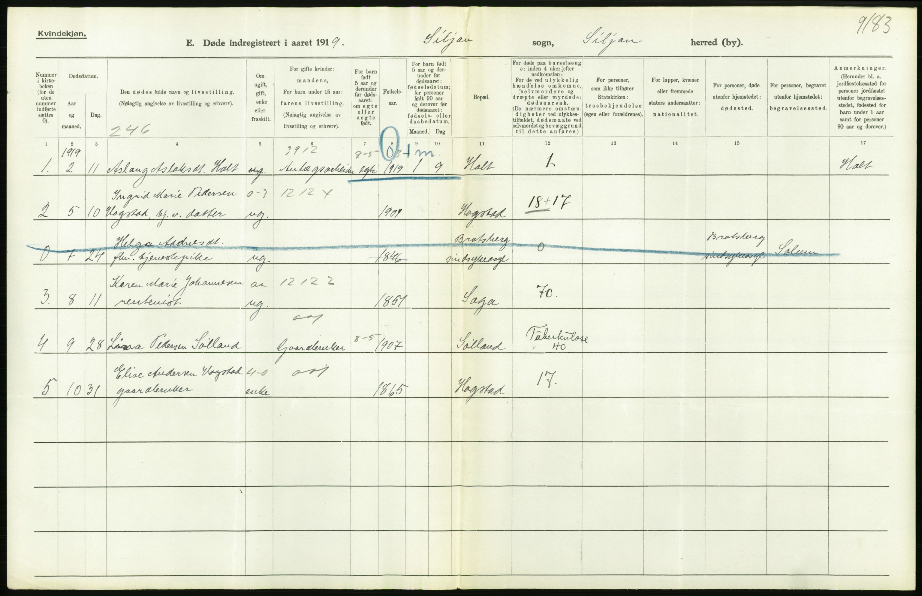 Statistisk sentralbyrå, Sosiodemografiske emner, Befolkning, RA/S-2228/D/Df/Dfb/Dfbi/L0023: Telemark fylke: Døde. Bygder og byer., 1919, p. 214