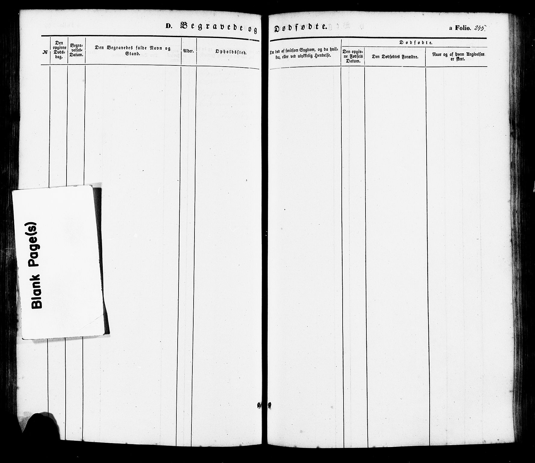 Søgne sokneprestkontor, AV/SAK-1111-0037/F/Fa/Faa/L0002: Parish register (official) no. A 2, 1854-1882, p. 245