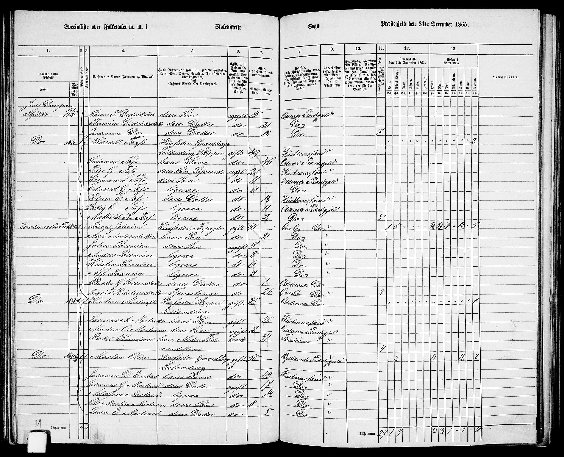 RA, 1865 census for Oddernes, 1865, p. 91