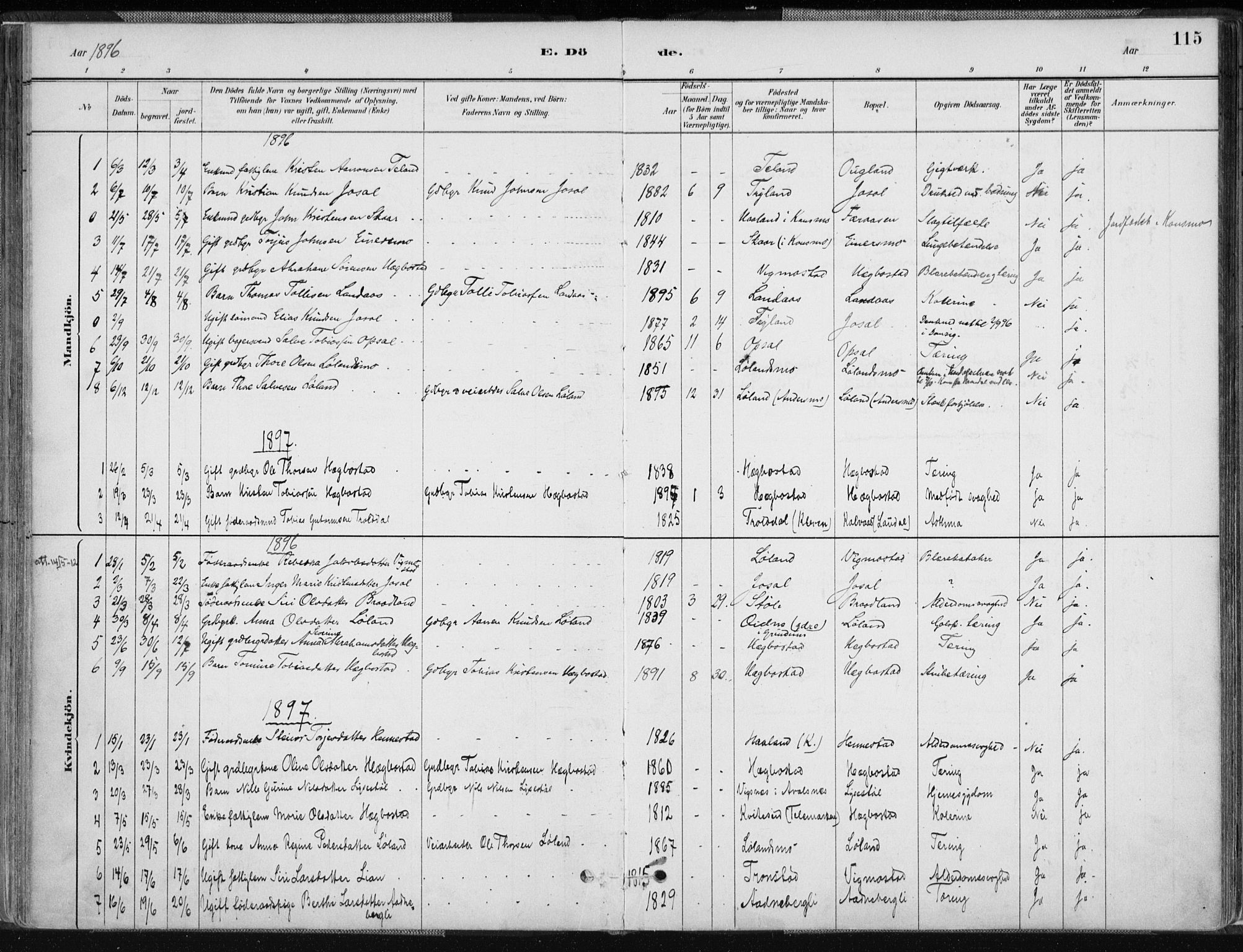 Nord-Audnedal sokneprestkontor, AV/SAK-1111-0032/F/Fa/Fab/L0003: Parish register (official) no. A 3, 1882-1900, p. 115