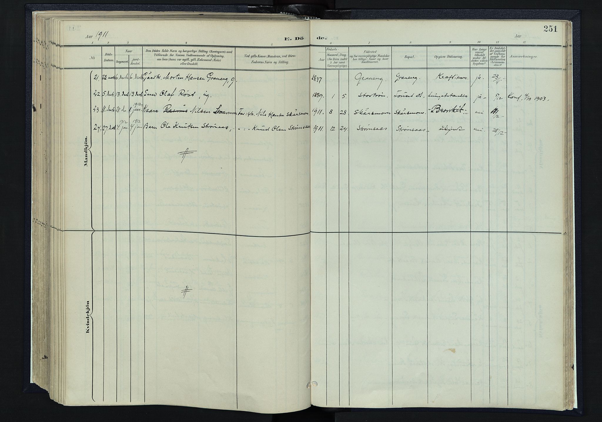 Tynset prestekontor, AV/SAH-PREST-058/H/Ha/Haa/L0025: Parish register (official) no. 25, 1900-1914, p. 251