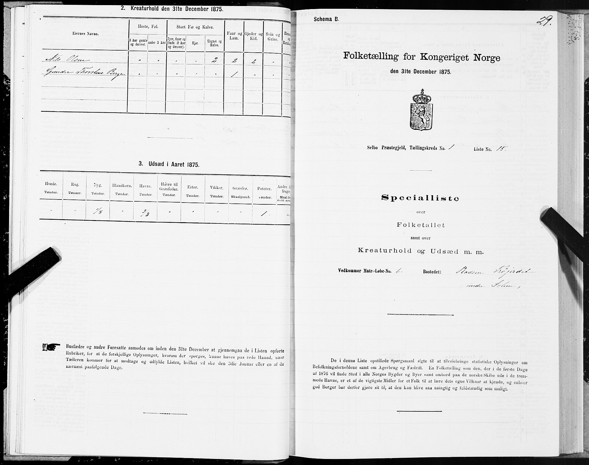 SAT, 1875 census for 1664P Selbu, 1875, p. 1029