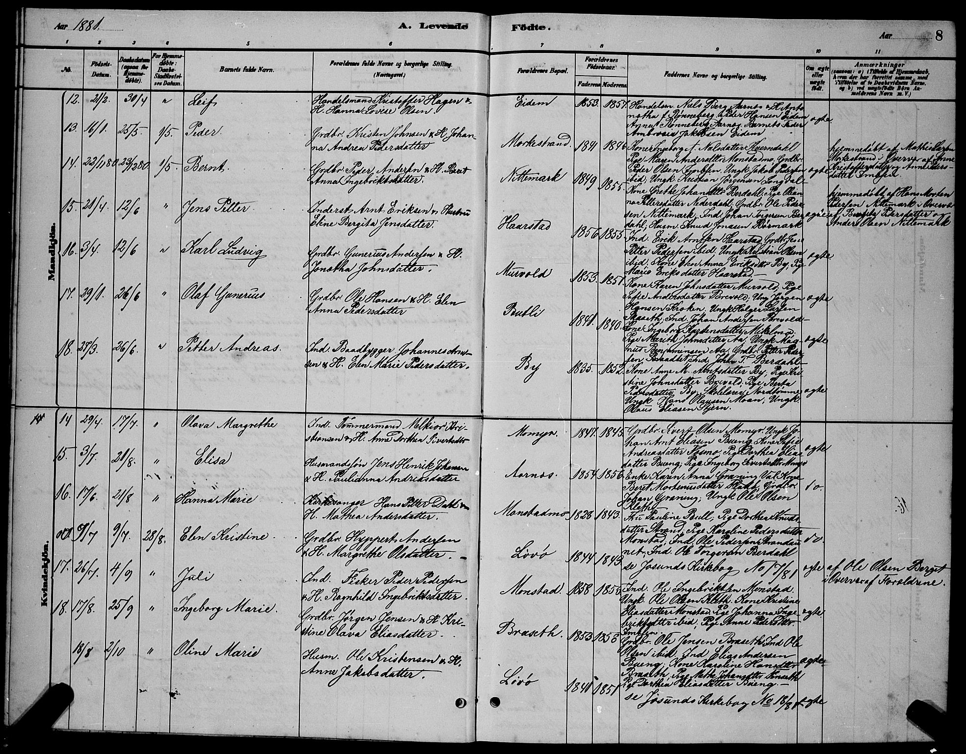 Ministerialprotokoller, klokkerbøker og fødselsregistre - Sør-Trøndelag, AV/SAT-A-1456/655/L0687: Parish register (copy) no. 655C03, 1880-1898, p. 8