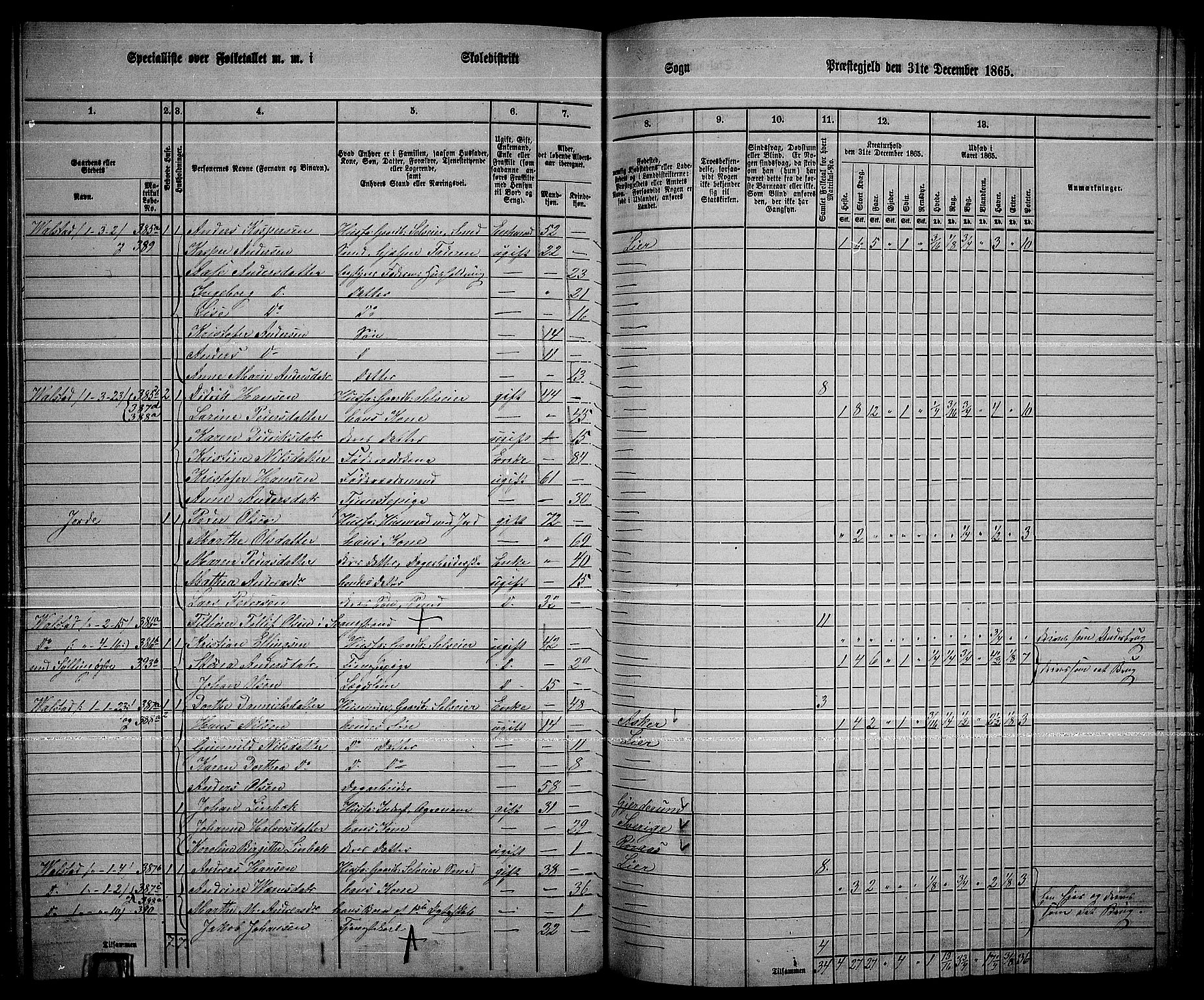 RA, 1865 census for Lier, 1865, p. 214