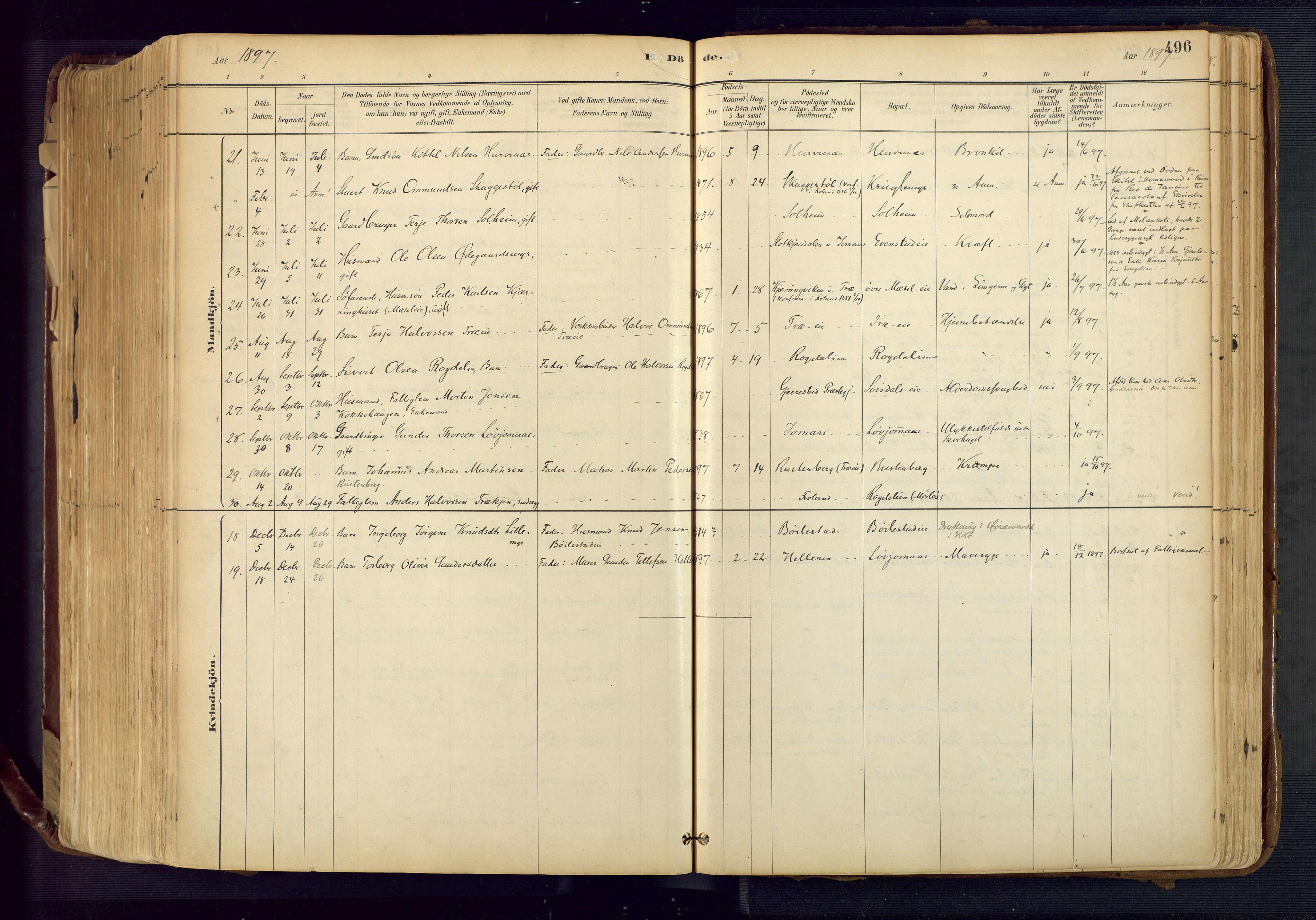 Froland sokneprestkontor, AV/SAK-1111-0013/F/Fa/L0005: Parish register (official) no. A 5, 1882-1921, p. 496