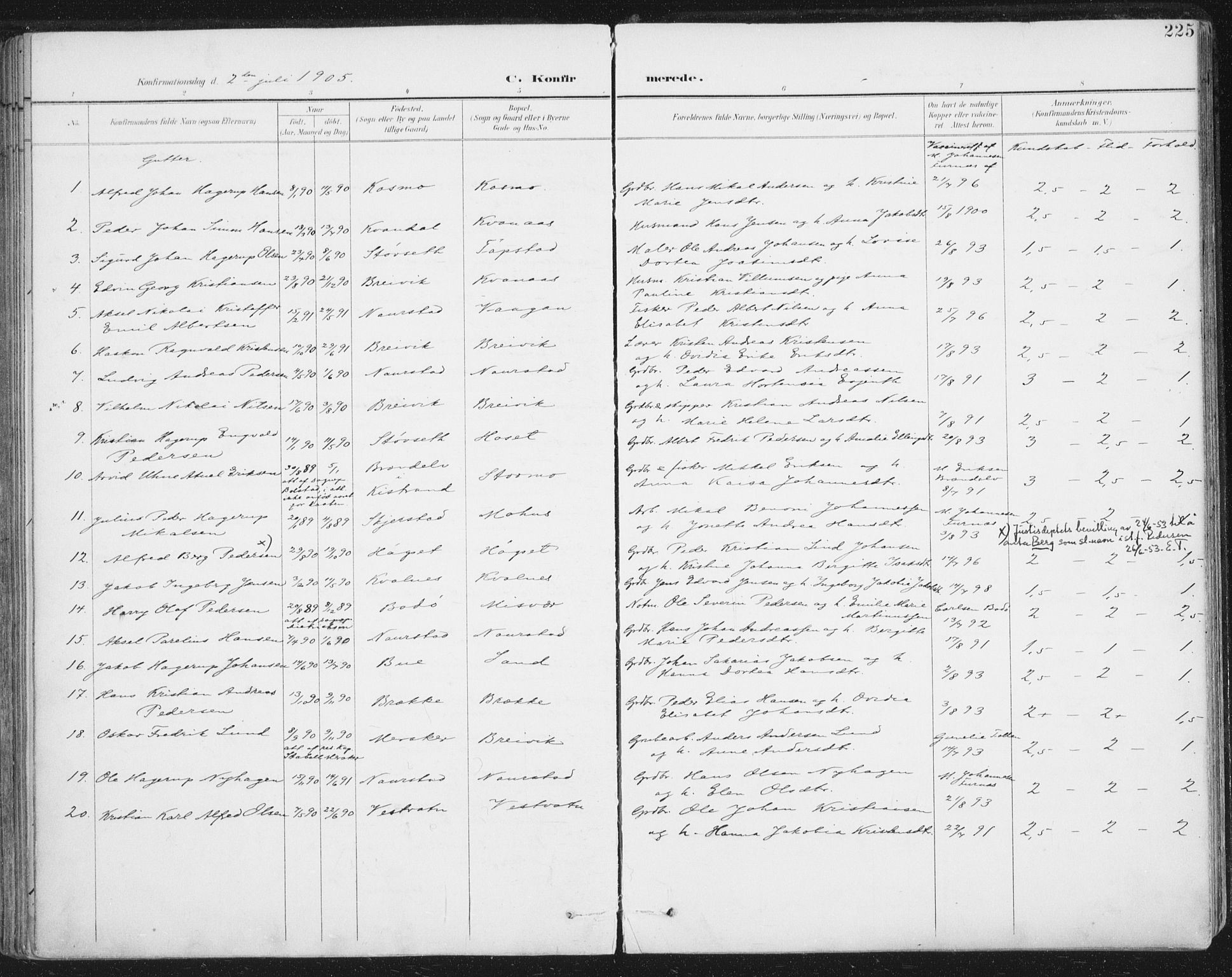 Ministerialprotokoller, klokkerbøker og fødselsregistre - Nordland, SAT/A-1459/852/L0741: Parish register (official) no. 852A11, 1894-1917, p. 225