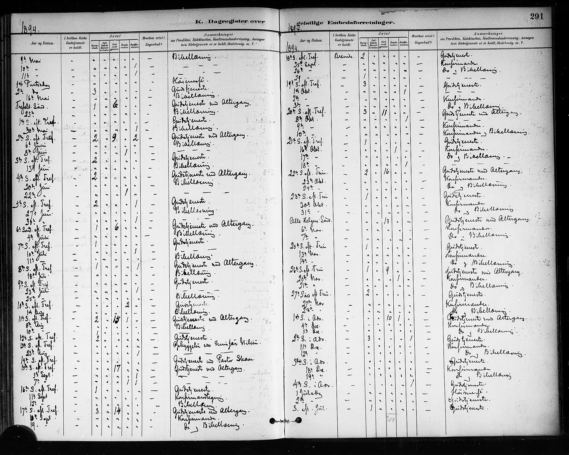 Brevik kirkebøker, SAKO/A-255/F/Fa/L0007: Parish register (official) no. 7, 1882-1900, p. 291