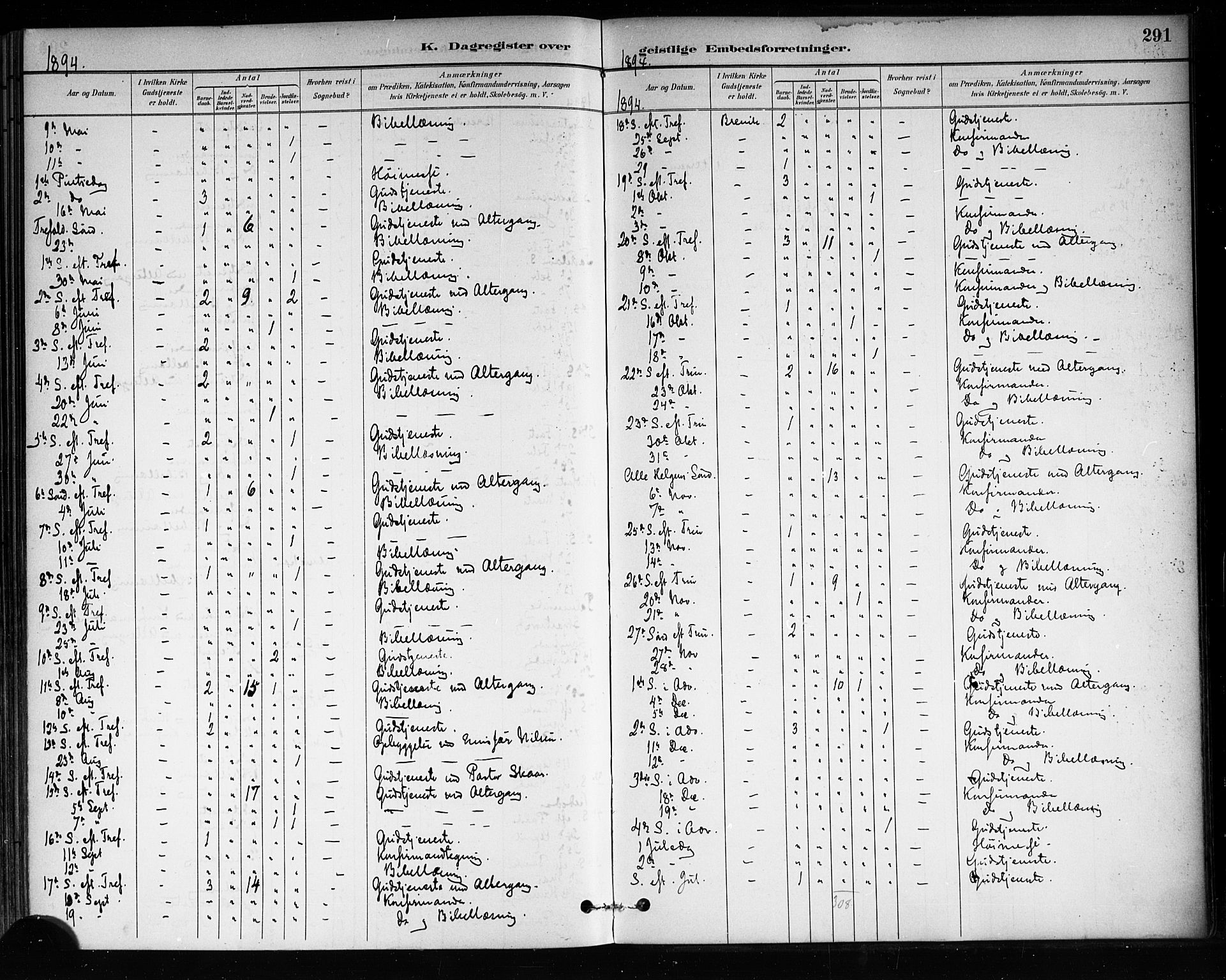 Brevik kirkebøker, AV/SAKO-A-255/F/Fa/L0007: Parish register (official) no. 7, 1882-1900, p. 291