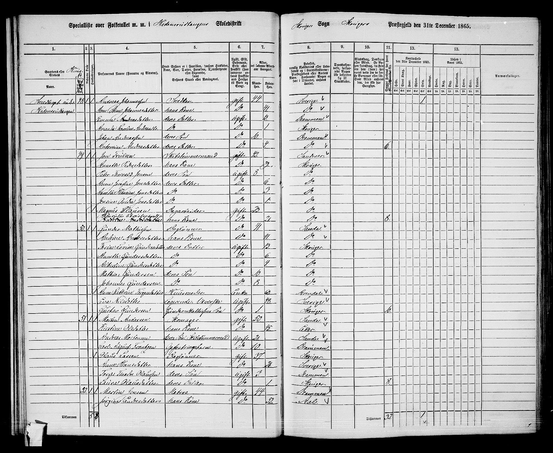 RA, 1865 census for Skoger, 1865, p. 31