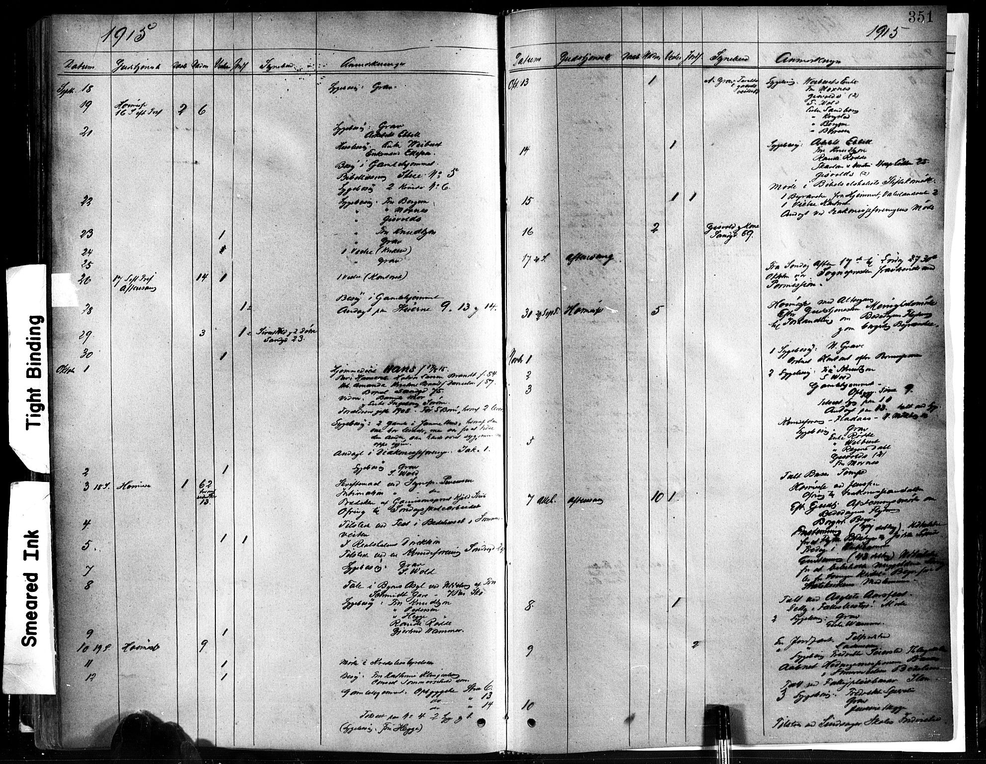 Ministerialprotokoller, klokkerbøker og fødselsregistre - Sør-Trøndelag, AV/SAT-A-1456/602/L0119: Parish register (official) no. 602A17, 1880-1901, p. 351