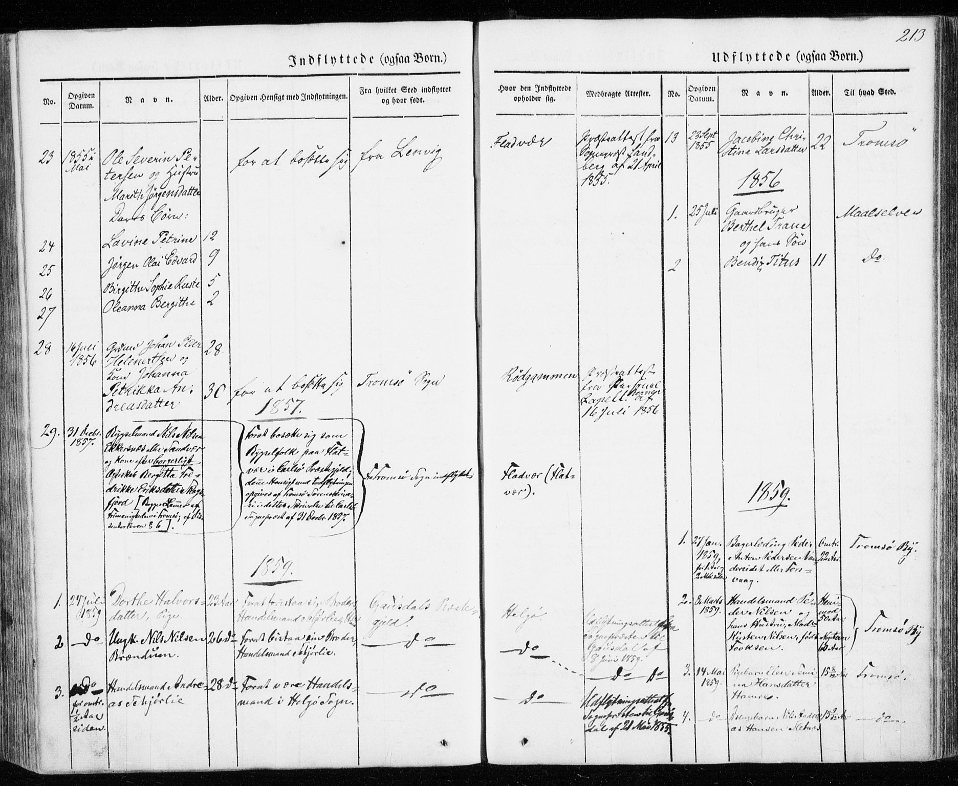 Karlsøy sokneprestembete, SATØ/S-1299/H/Ha/Haa/L0009kirke: Parish register (official) no. 9, 1838-1867, p. 213