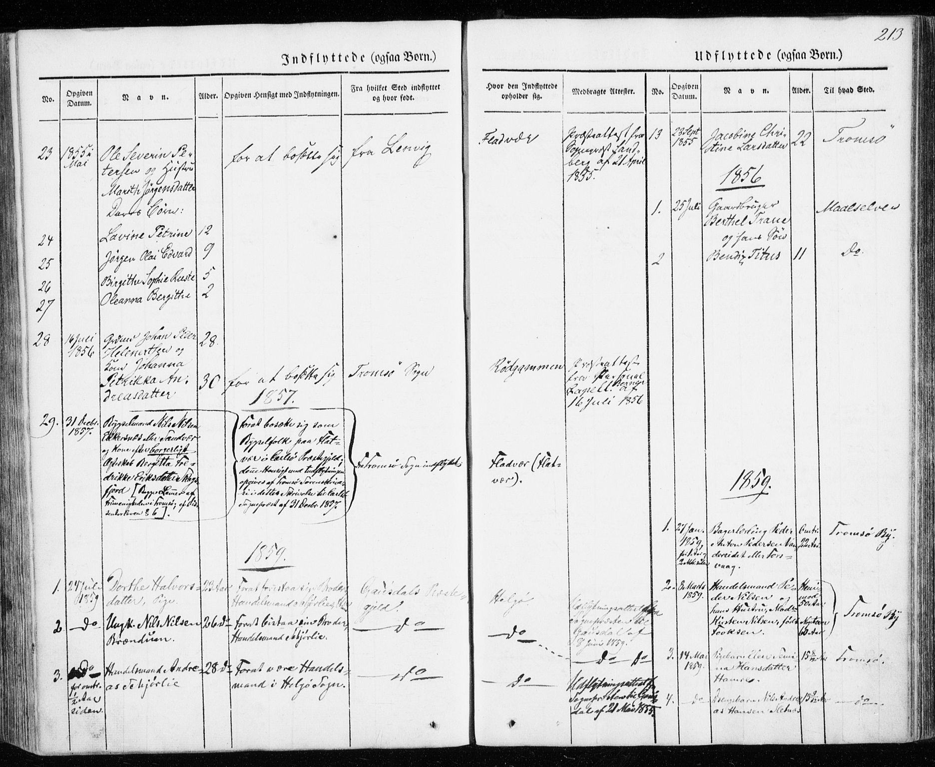 Karlsøy sokneprestembete, AV/SATØ-S-1299/H/Ha/Haa/L0009kirke: Parish register (official) no. 9, 1838-1867, p. 213