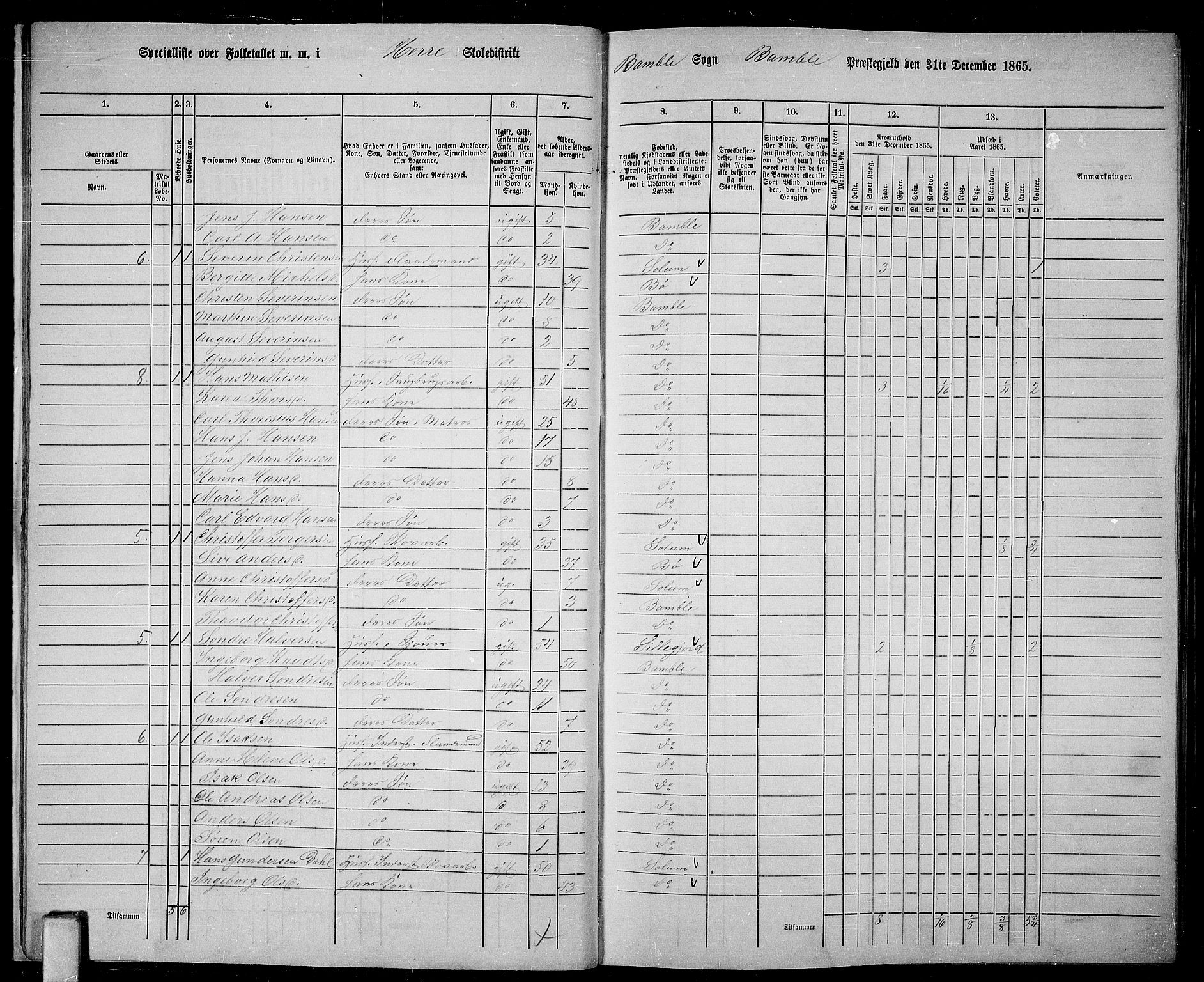 RA, 1865 census for Bamble, 1865, p. 17