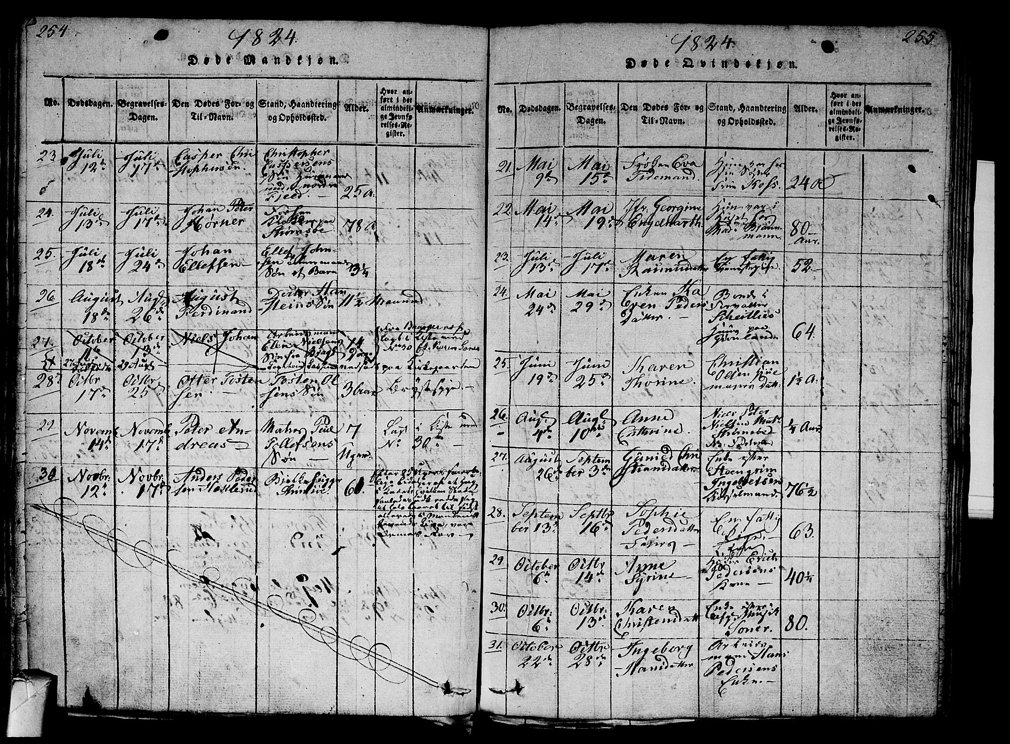 Strømsø kirkebøker, AV/SAKO-A-246/G/Ga/L0001: Parish register (copy) no. 1, 1815-1829, p. 254-255