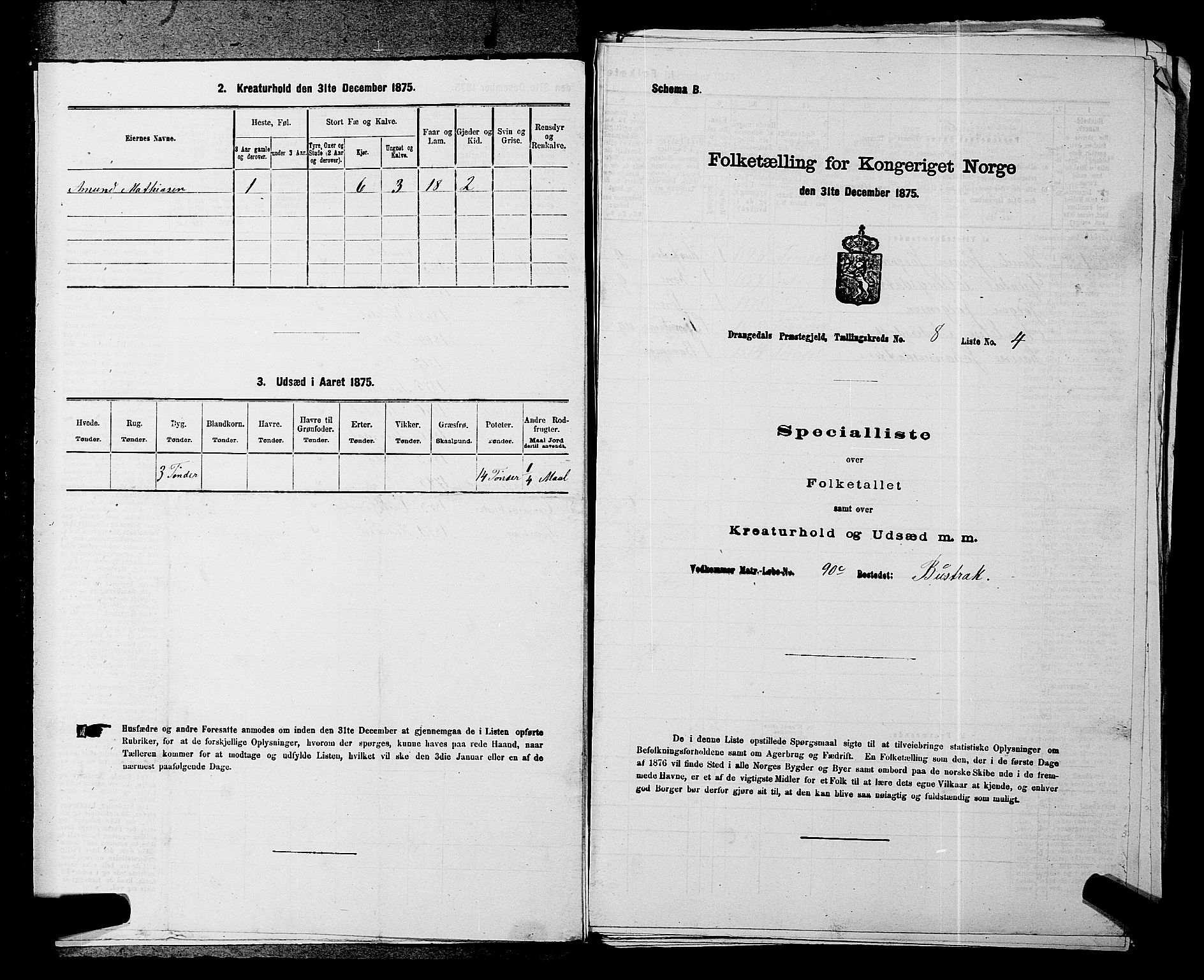 SAKO, 1875 census for 0817P Drangedal, 1875, p. 768