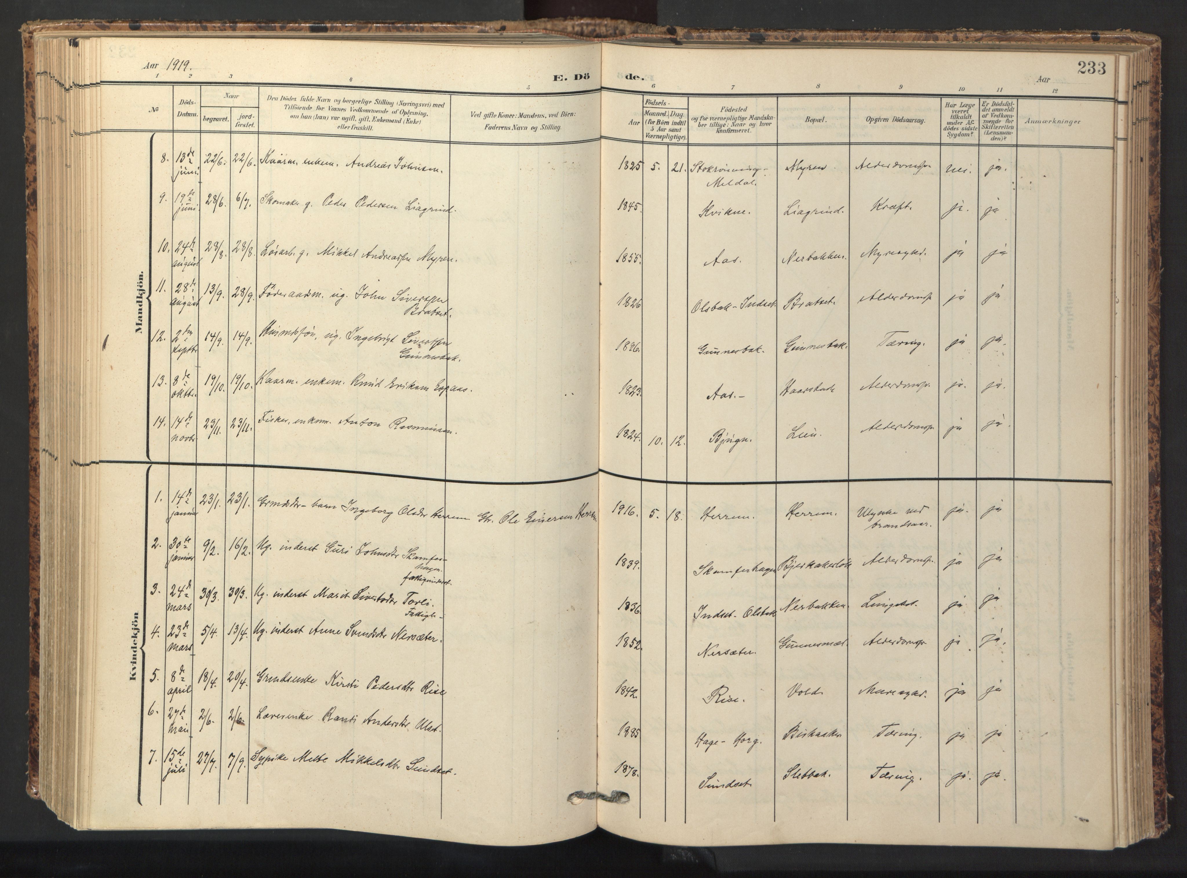 Ministerialprotokoller, klokkerbøker og fødselsregistre - Sør-Trøndelag, AV/SAT-A-1456/674/L0873: Parish register (official) no. 674A05, 1908-1923, p. 233