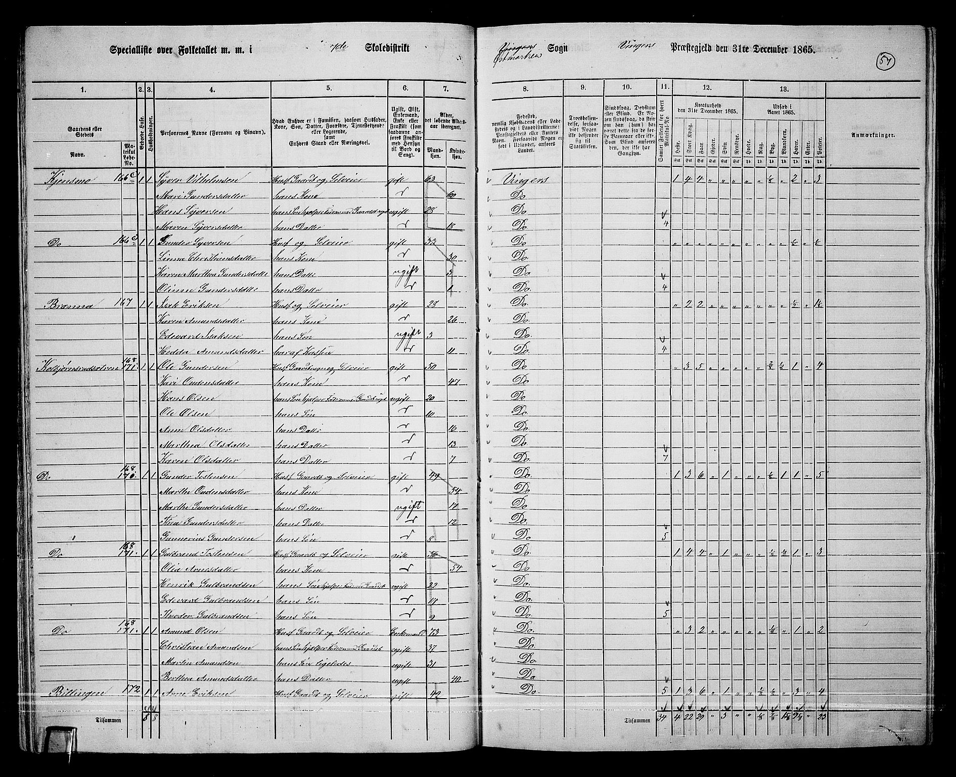 RA, 1865 census for Vinger/Vinger og Austmarka, 1865, p. 54