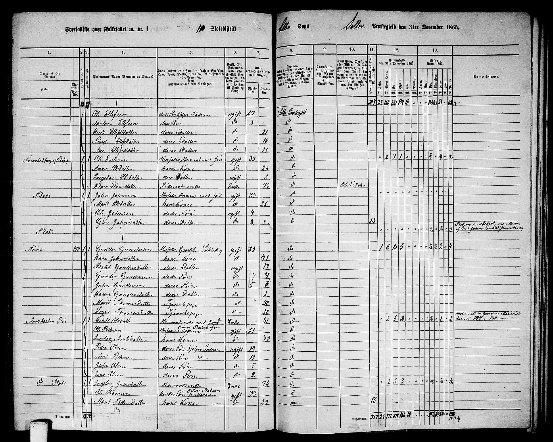 RA, 1865 census for Selbu, 1865, p. 189