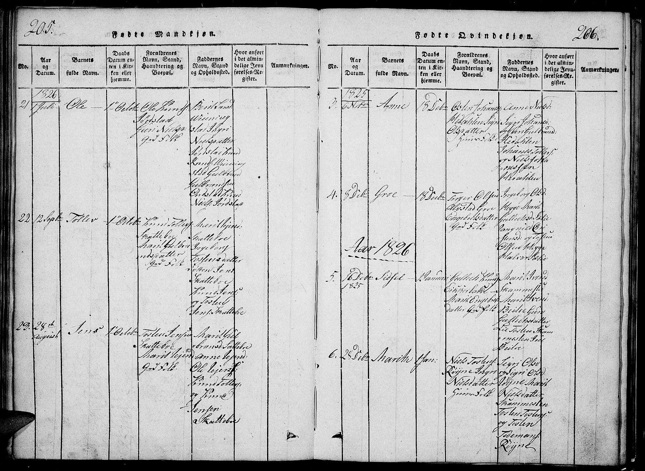Slidre prestekontor, SAH/PREST-134/H/Ha/Hab/L0002: Parish register (copy) no. 2, 1814-1839, p. 205-206