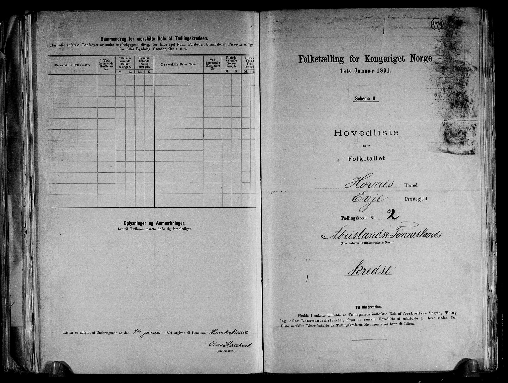 RA, 1891 census for 0936 Hornnes, 1891, p. 6
