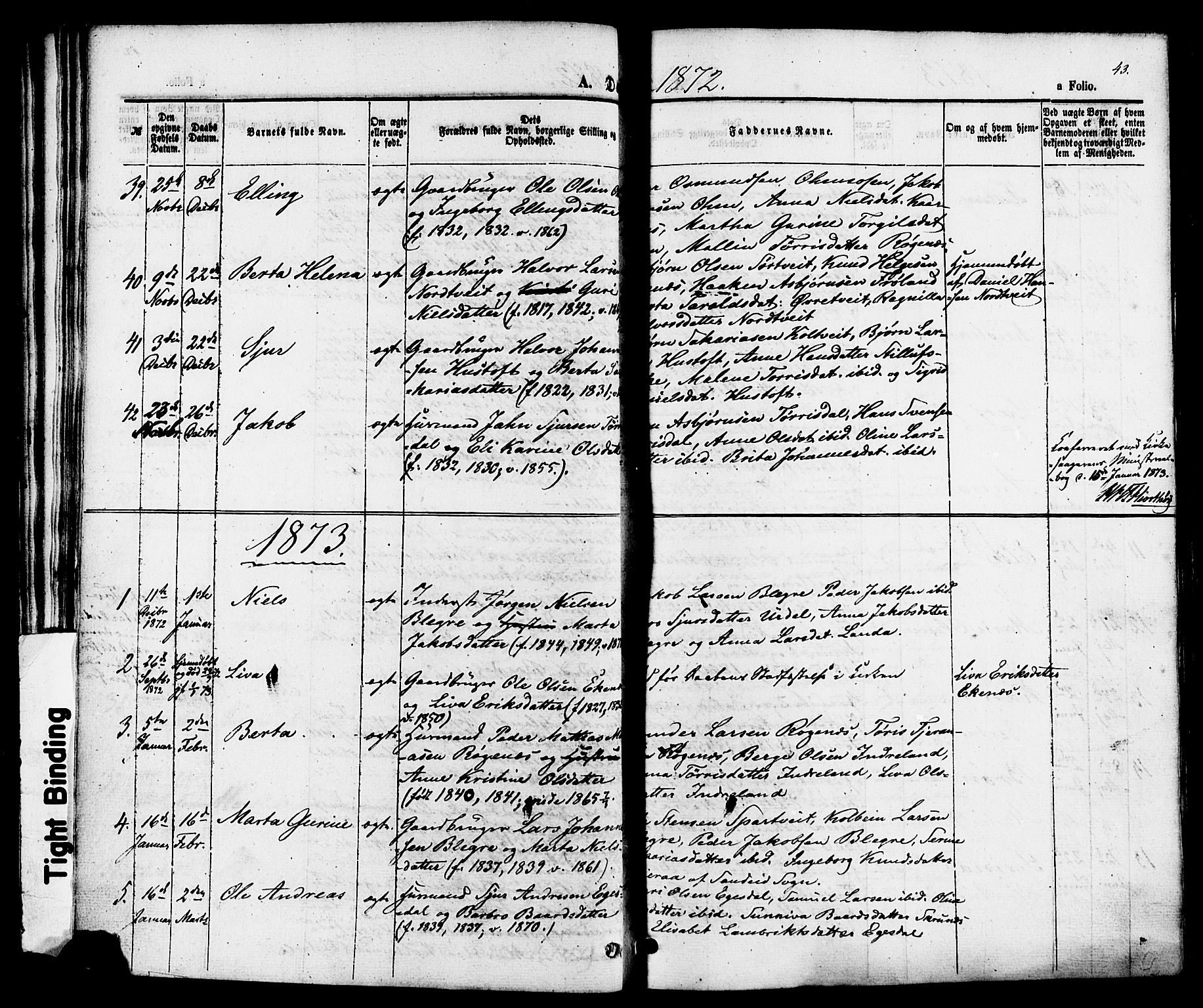 Skjold sokneprestkontor, AV/SAST-A-101847/H/Ha/Haa/L0007: Parish register (official) no. A 7, 1857-1882, p. 43