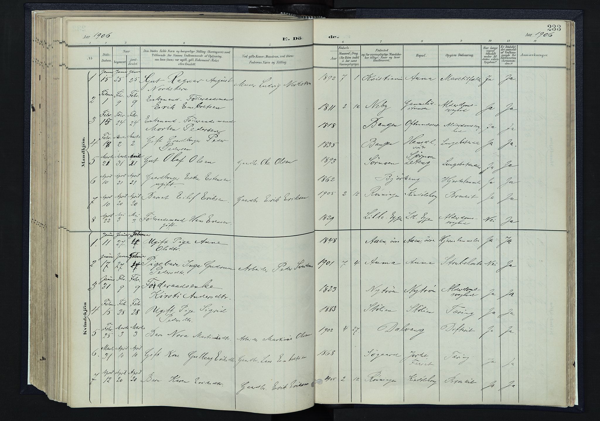 Tynset prestekontor, SAH/PREST-058/H/Ha/Haa/L0025: Parish register (official) no. 25, 1900-1914, p. 233