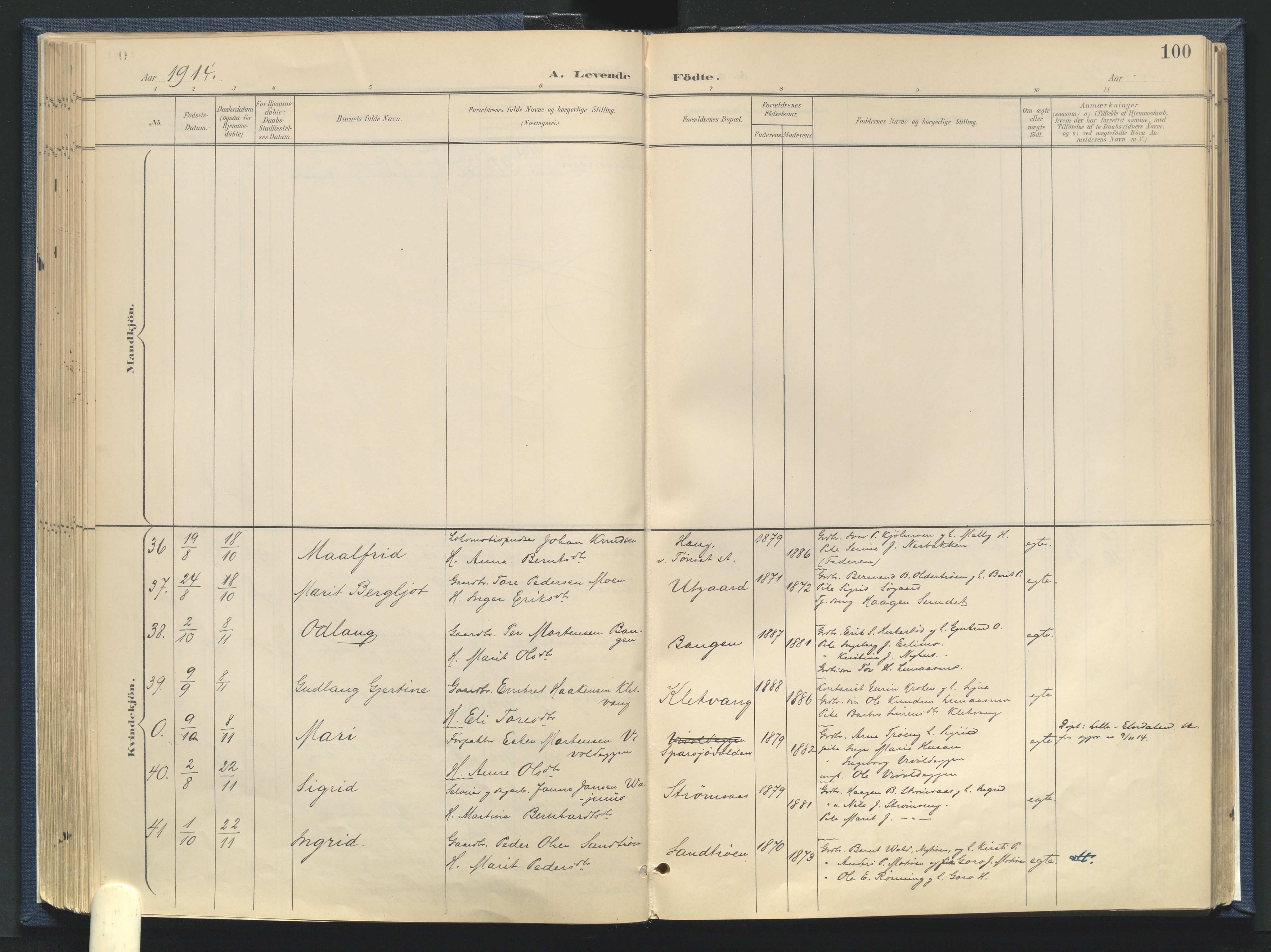 Tynset prestekontor, SAH/PREST-058/H/Ha/Haa/L0025: Parish register (official) no. 25, 1900-1914, p. 100