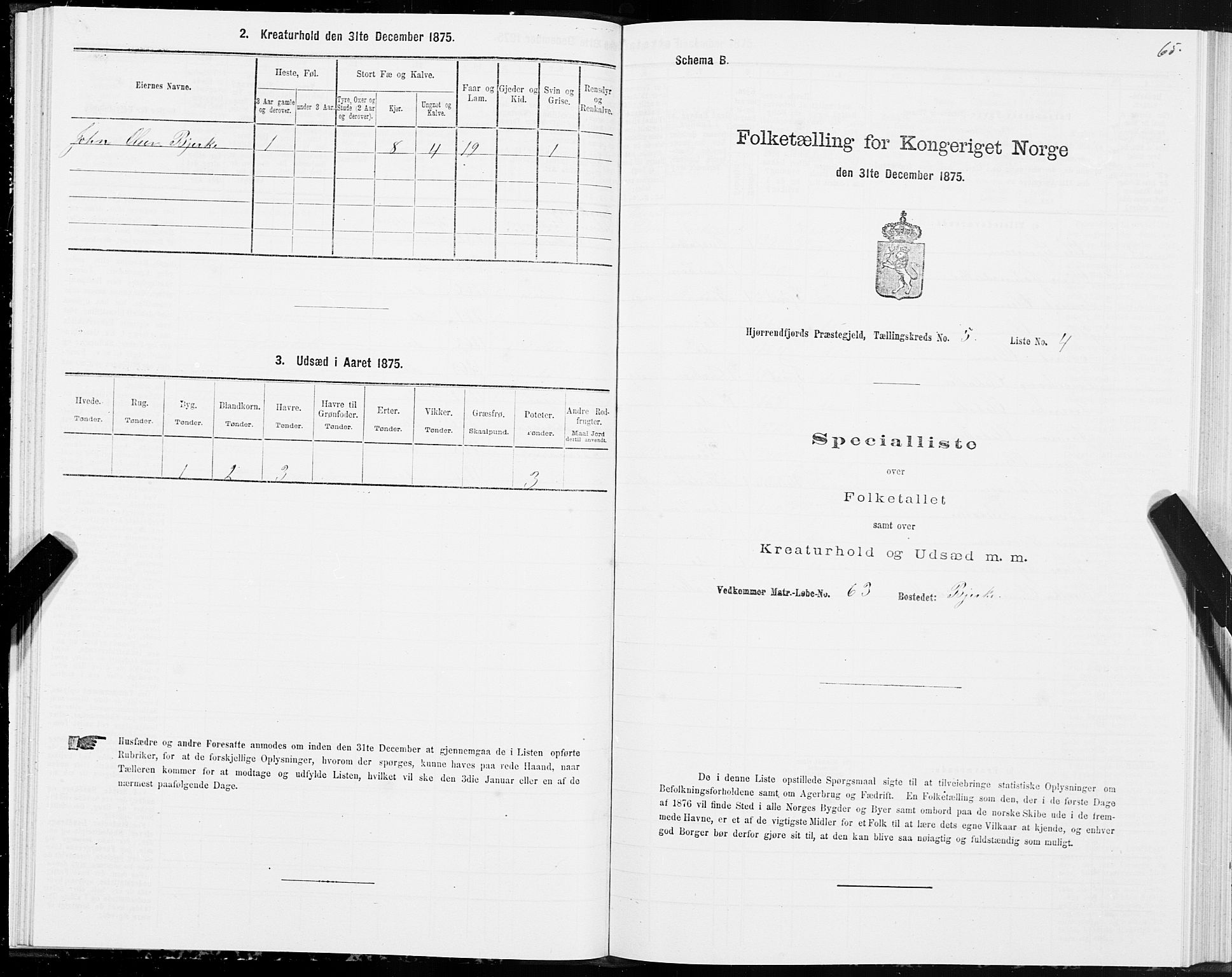 SAT, 1875 census for 1522P Hjørundfjord, 1875, p. 2065