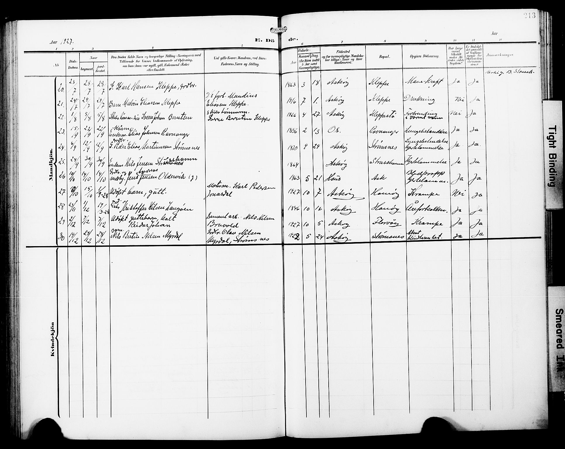 Askøy Sokneprestembete, AV/SAB-A-74101/H/Ha/Hab/Haba/L0014: Parish register (copy) no. A 14, 1904-1927, p. 213