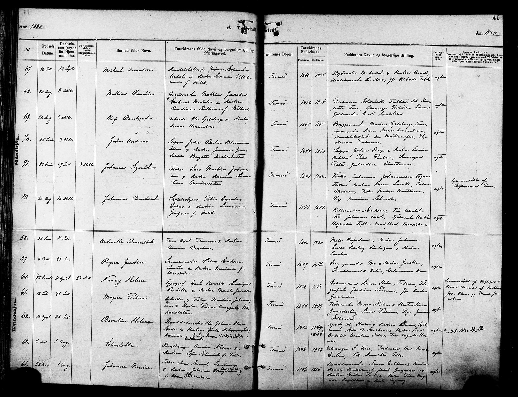 Tromsø sokneprestkontor/stiftsprosti/domprosti, SATØ/S-1343/G/Ga/L0014kirke: Parish register (official) no. 14, 1878-1888, p. 45