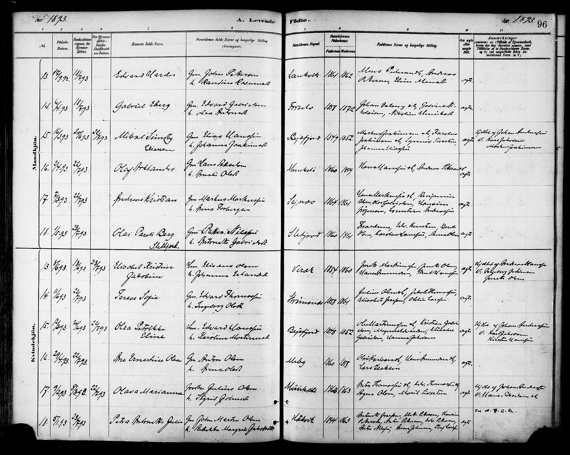 Ministerialprotokoller, klokkerbøker og fødselsregistre - Nordland, SAT/A-1459/866/L0938: Parish register (official) no. 866A01, 1879-1893, p. 96