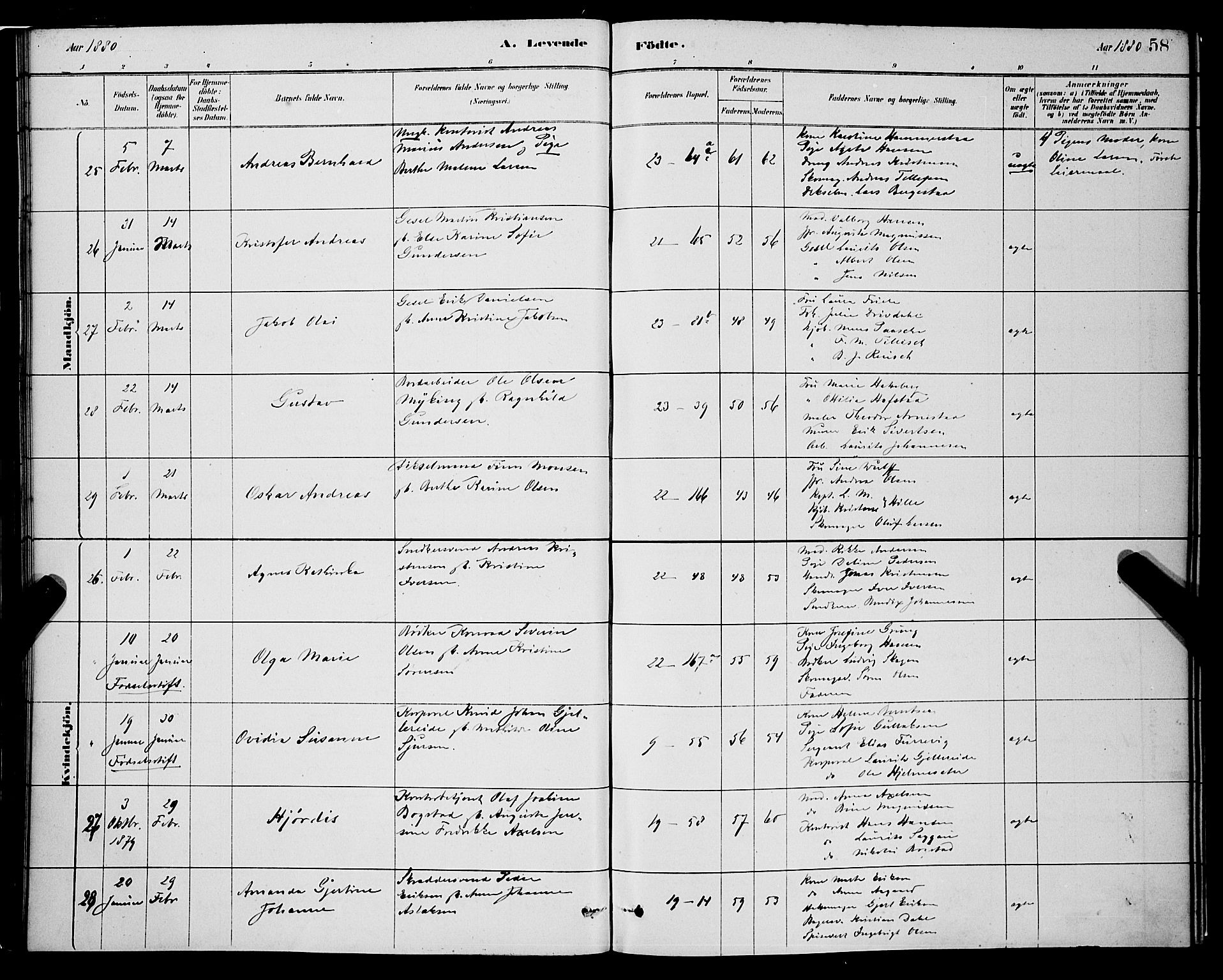 Korskirken sokneprestembete, SAB/A-76101/H/Hab: Parish register (copy) no. B 8, 1878-1887, p. 58
