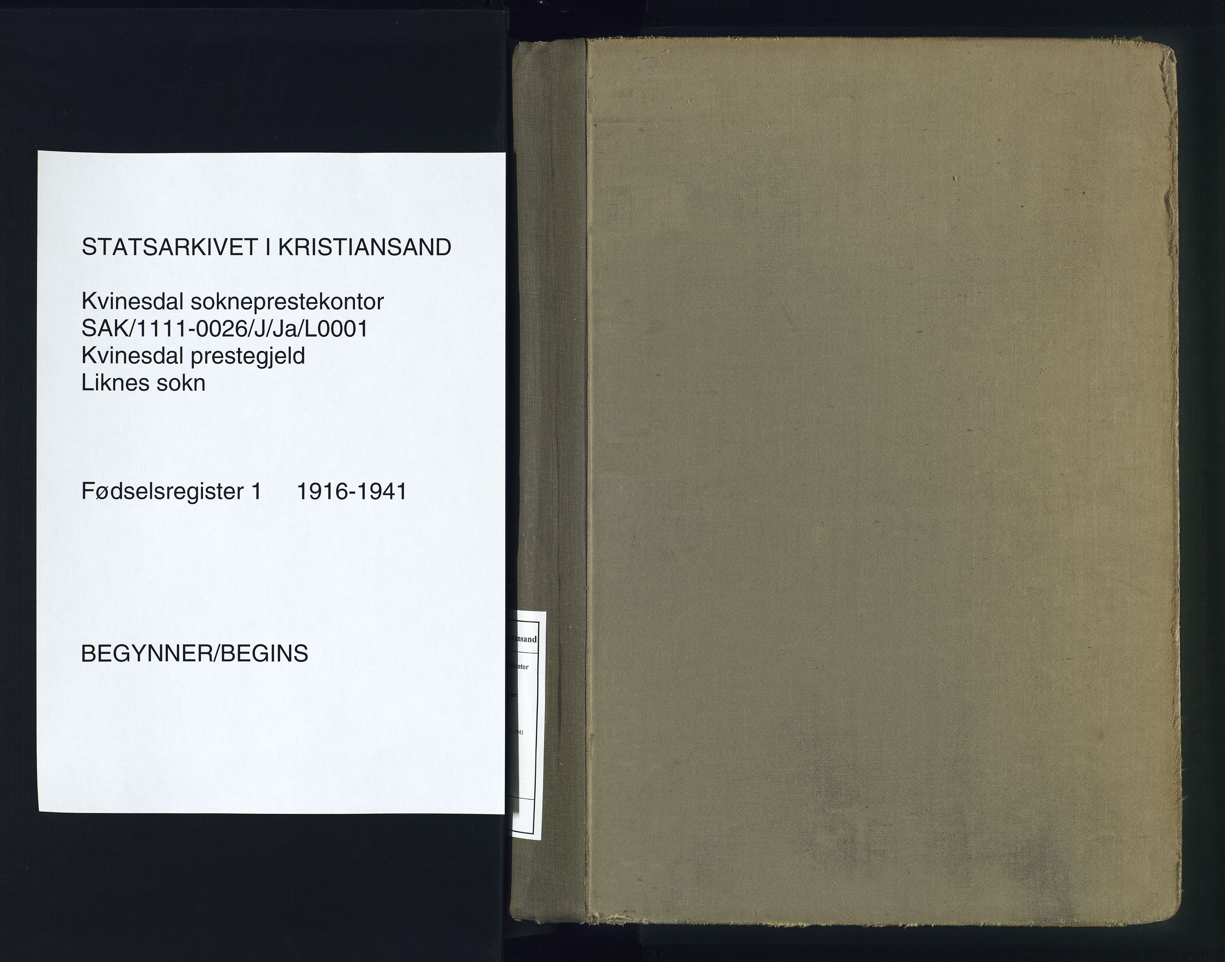 Kvinesdal sokneprestkontor, SAK/1111-0026/J/Ja/L0001: Birth register no. 1, 1916-1941
