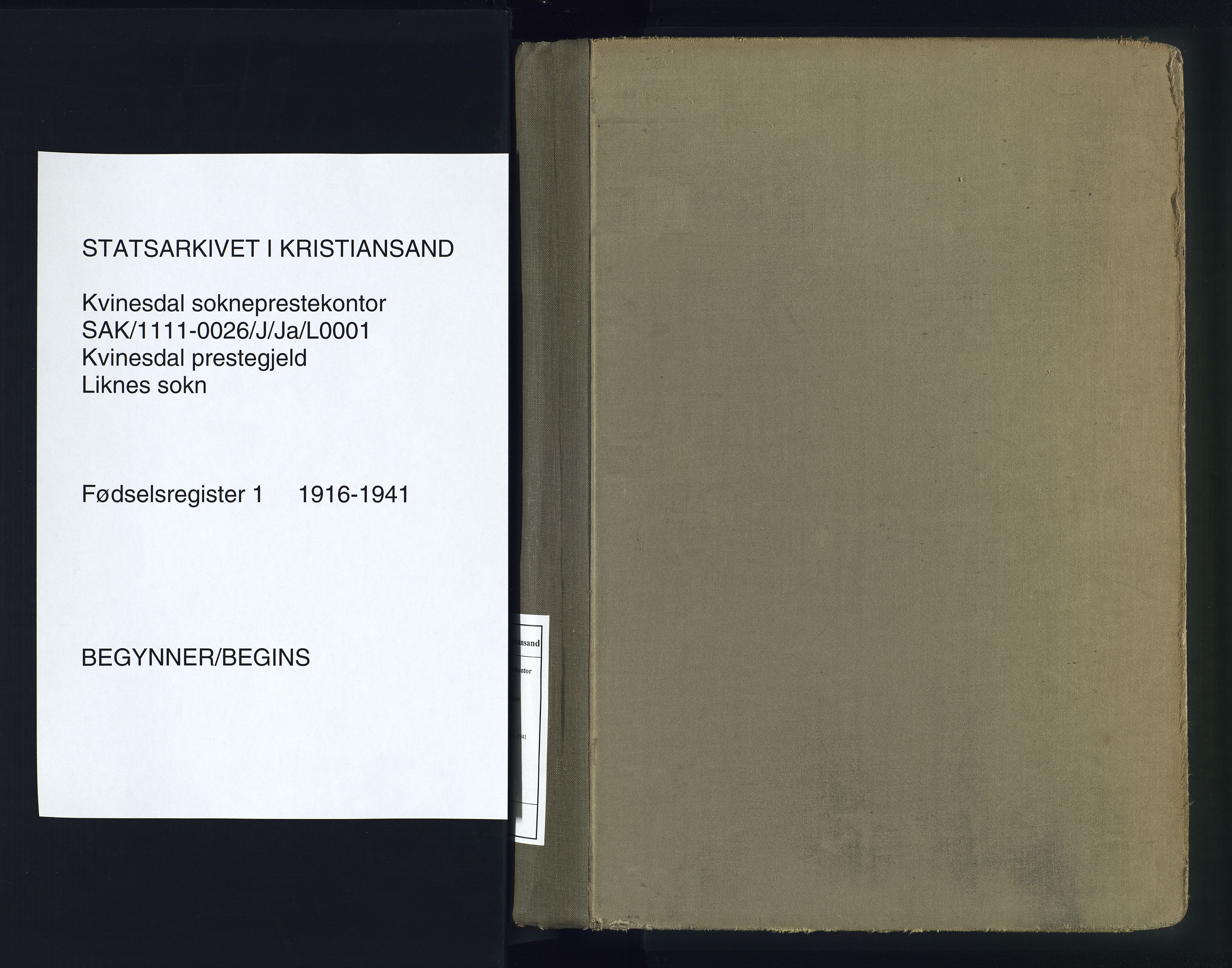 Kvinesdal sokneprestkontor, AV/SAK-1111-0026/J/Ja/L0001: Birth register no. 1, 1916-1941
