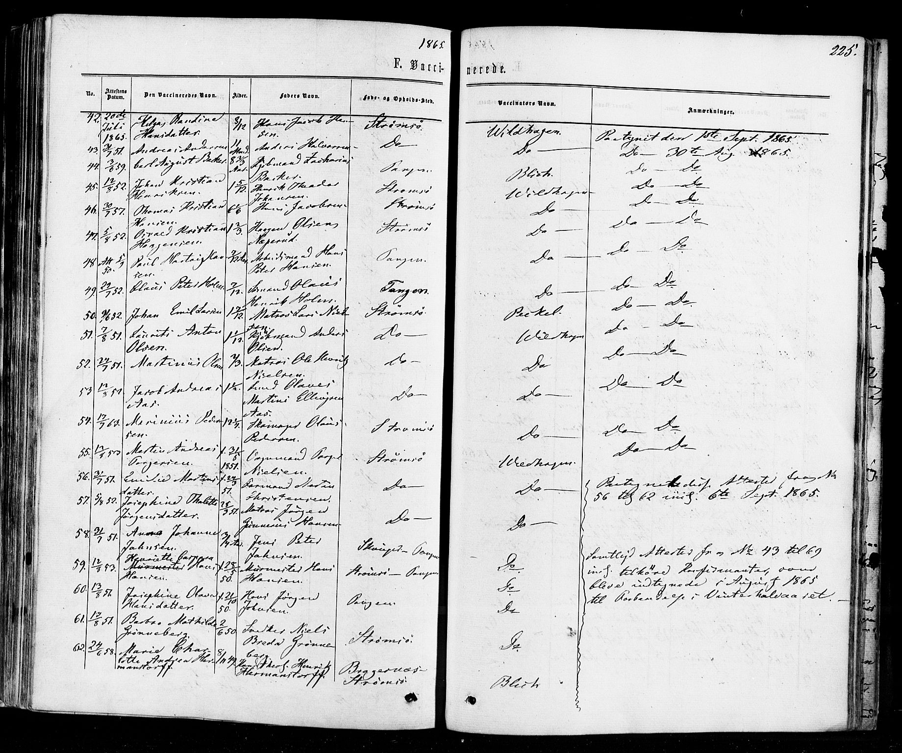 Strømsø kirkebøker, SAKO/A-246/F/Fa/L0018: Parish register (official) no. I 18, 1865-1878, p. 225