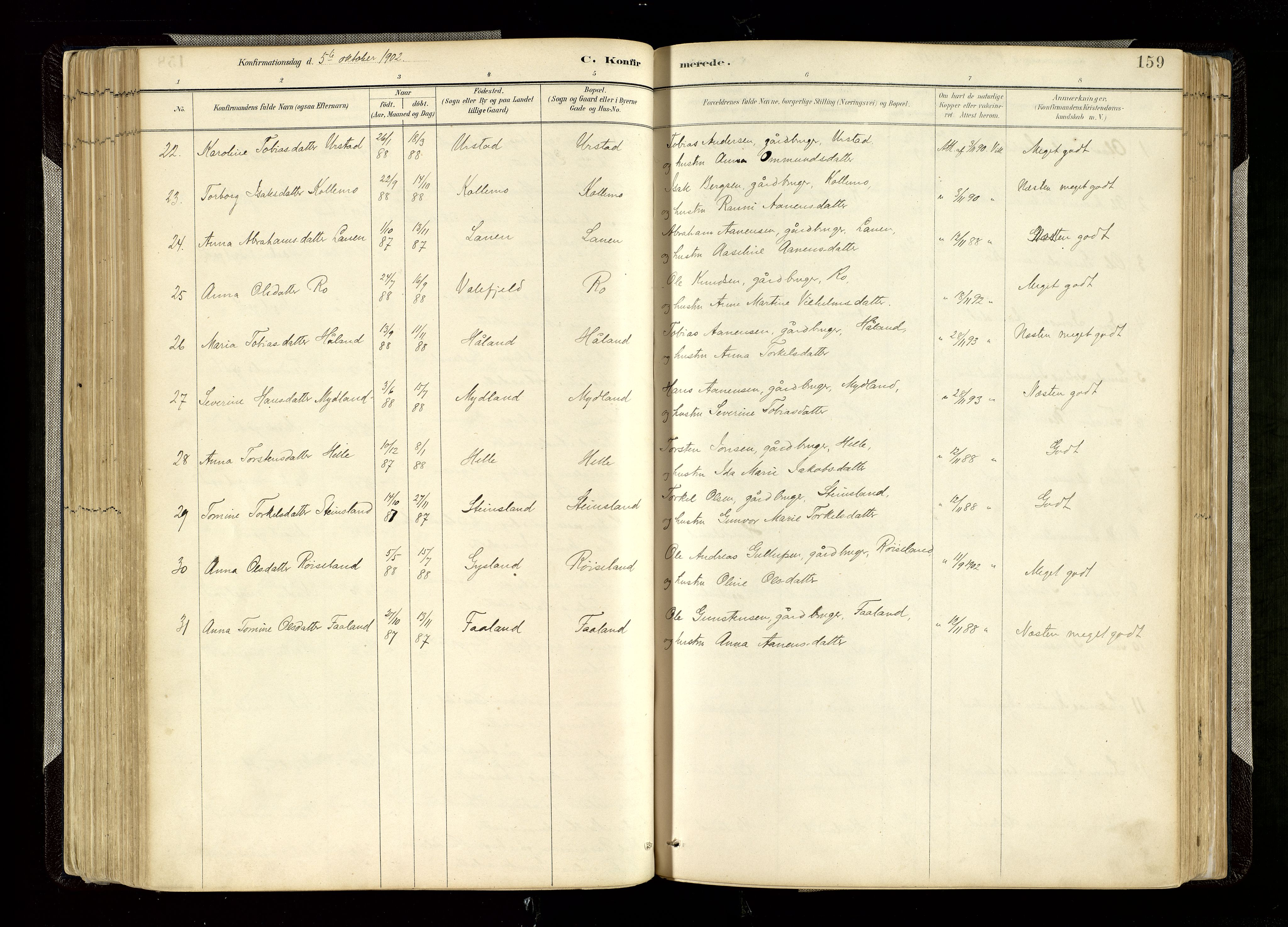 Hægebostad sokneprestkontor, SAK/1111-0024/F/Fa/Faa/L0006: Parish register (official) no. A 6, 1887-1929, p. 159