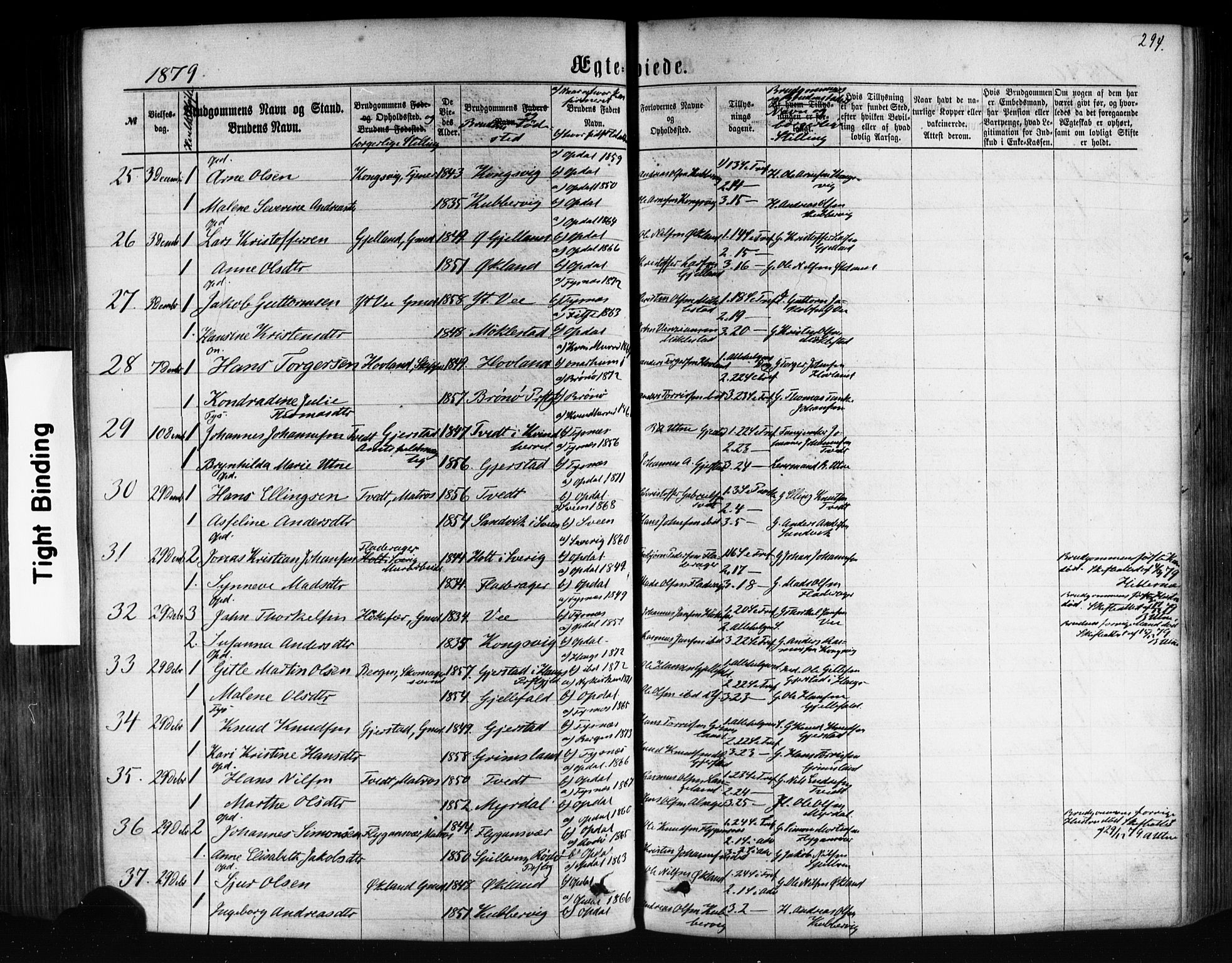Tysnes sokneprestembete, SAB/A-78601/H/Haa: Parish register (official) no. A 12, 1872-1886, p. 294