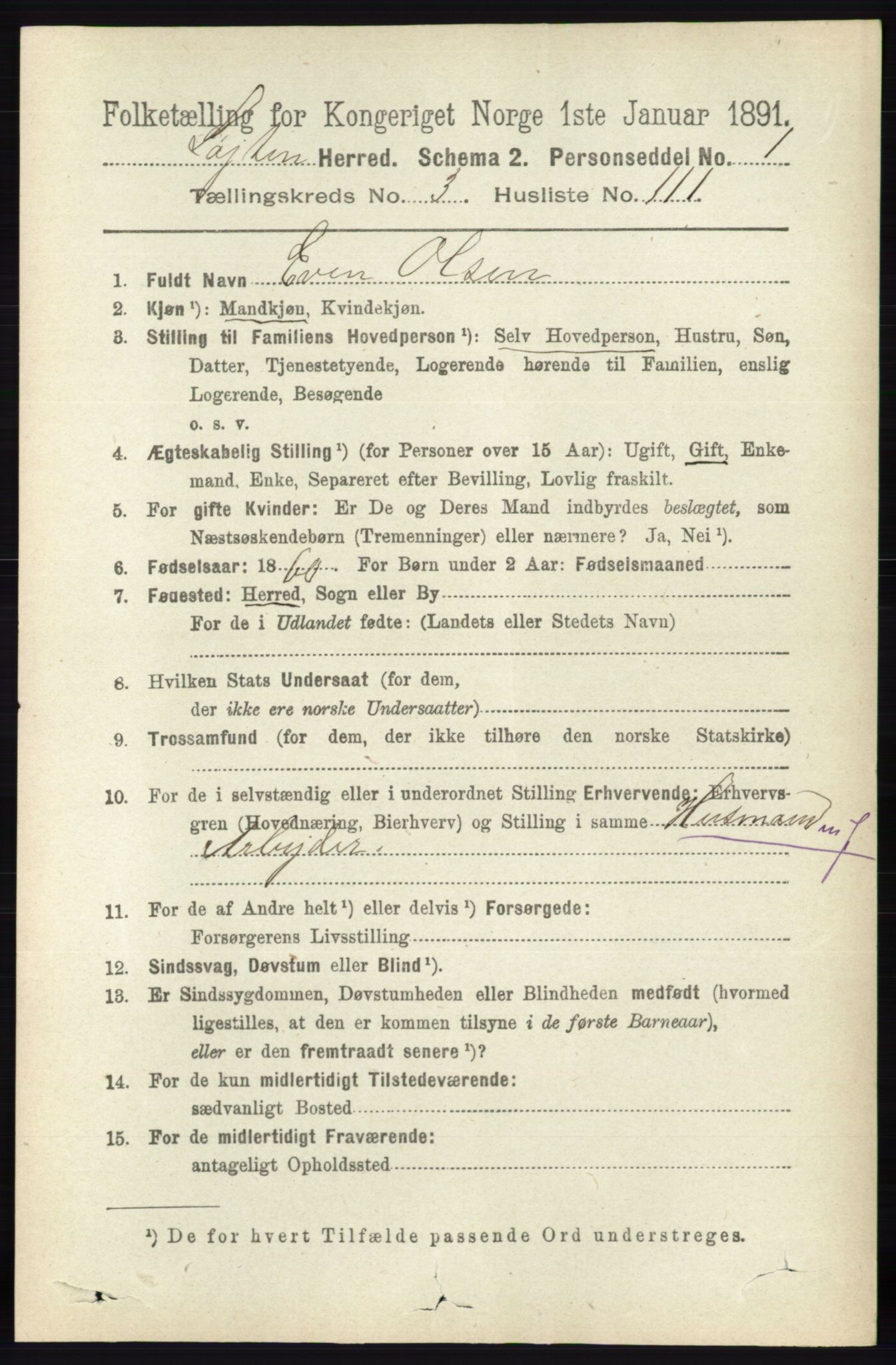 RA, 1891 census for 0415 Løten, 1891, p. 2663