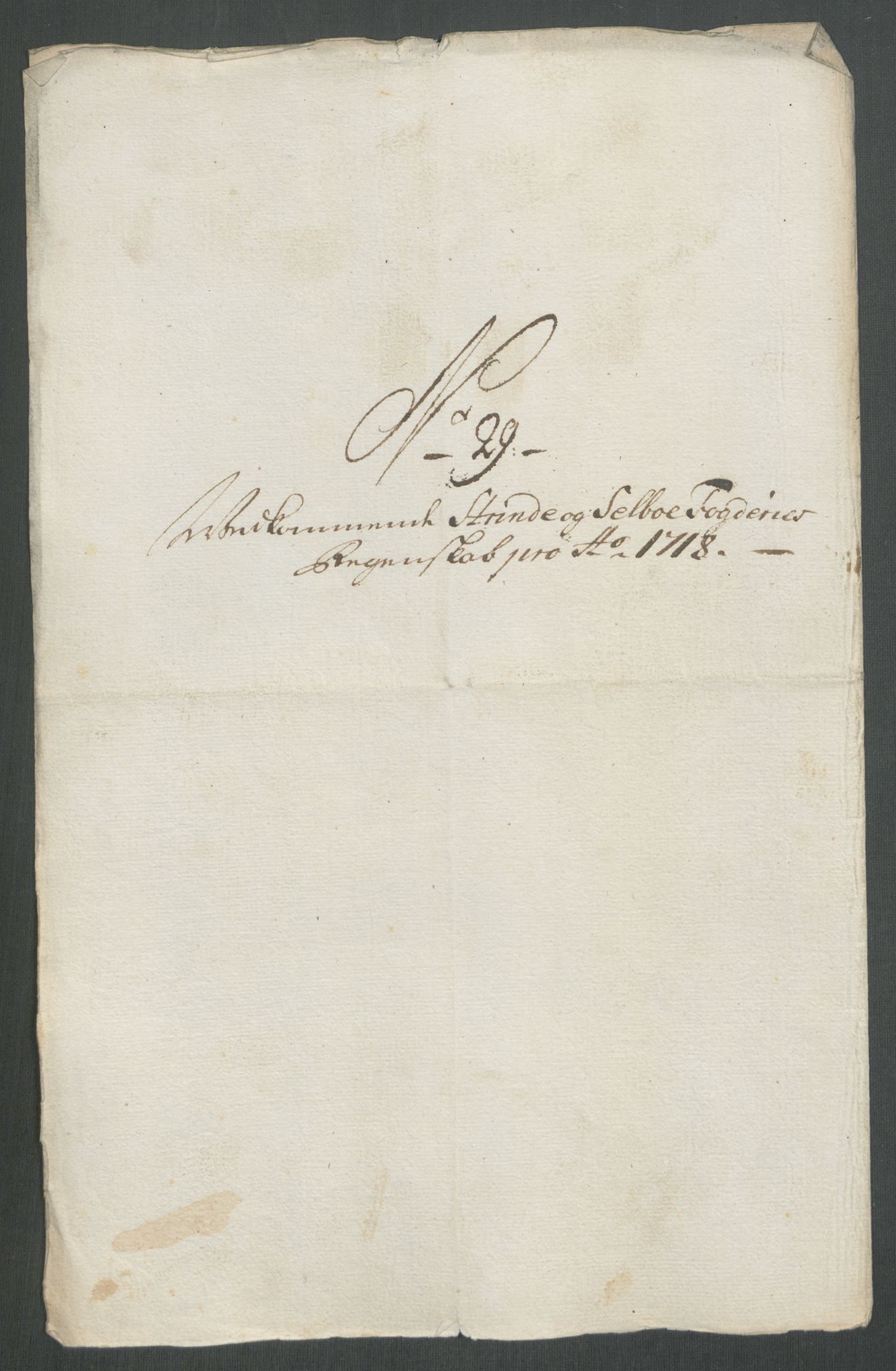 Rentekammeret inntil 1814, Reviderte regnskaper, Fogderegnskap, RA/EA-4092/R61/L4116: Fogderegnskap Strinda og Selbu, 1717-1718, p. 489