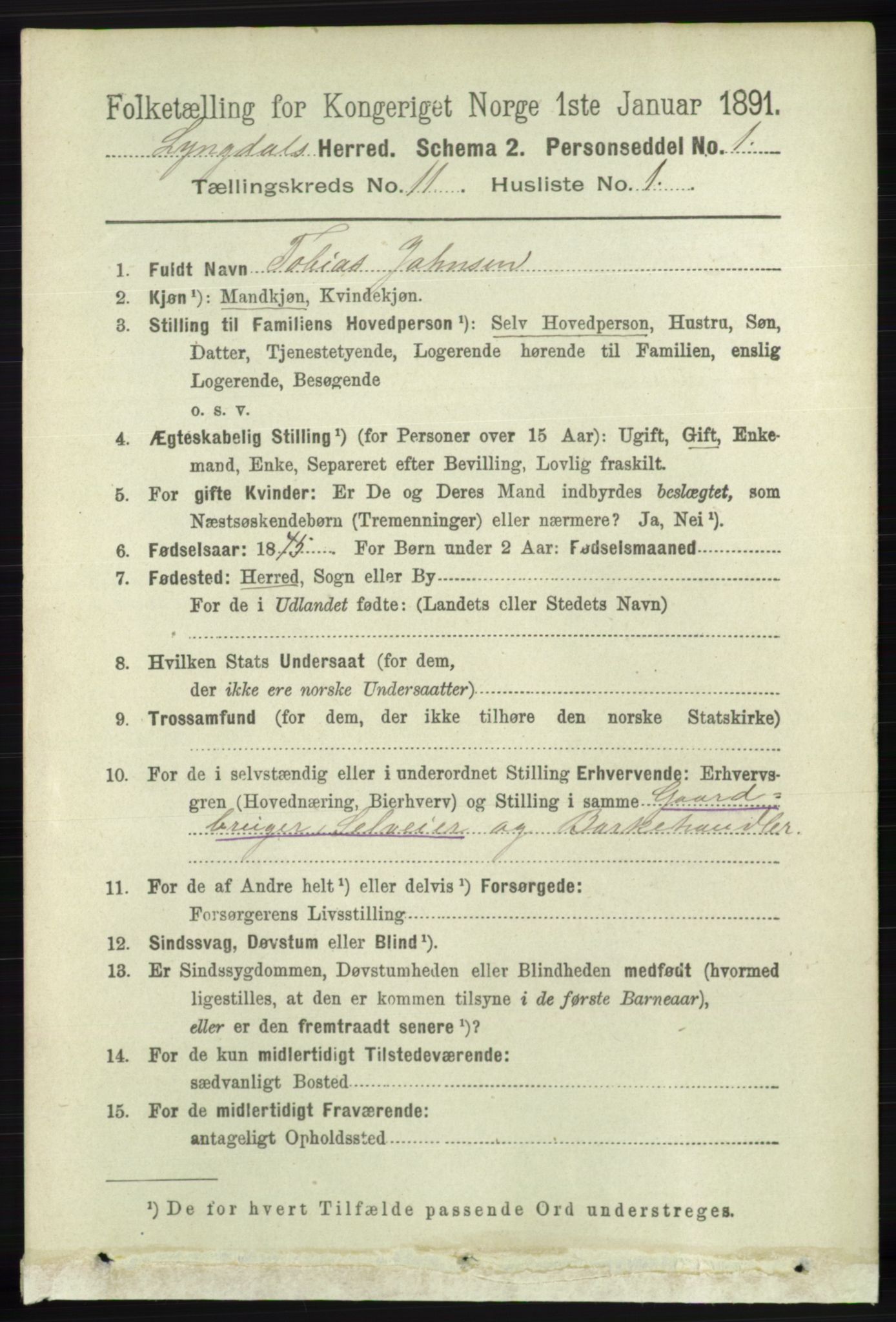 RA, 1891 census for 1032 Lyngdal, 1891, p. 4817