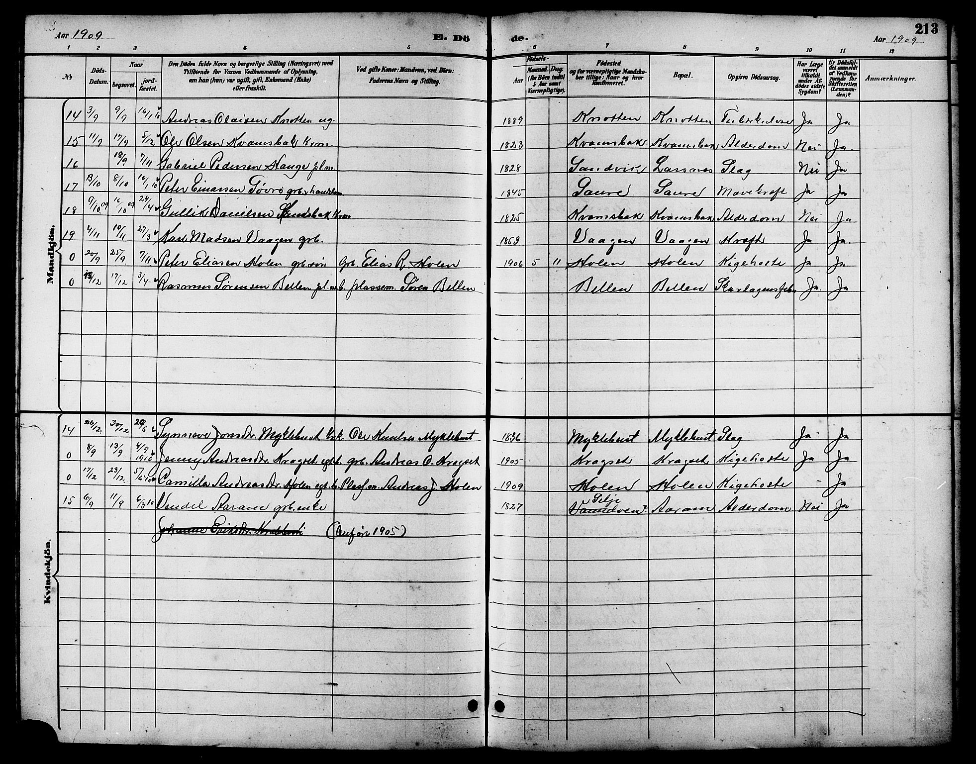 Ministerialprotokoller, klokkerbøker og fødselsregistre - Møre og Romsdal, AV/SAT-A-1454/503/L0049: Parish register (copy) no. 503C04, 1894-1915, p. 213